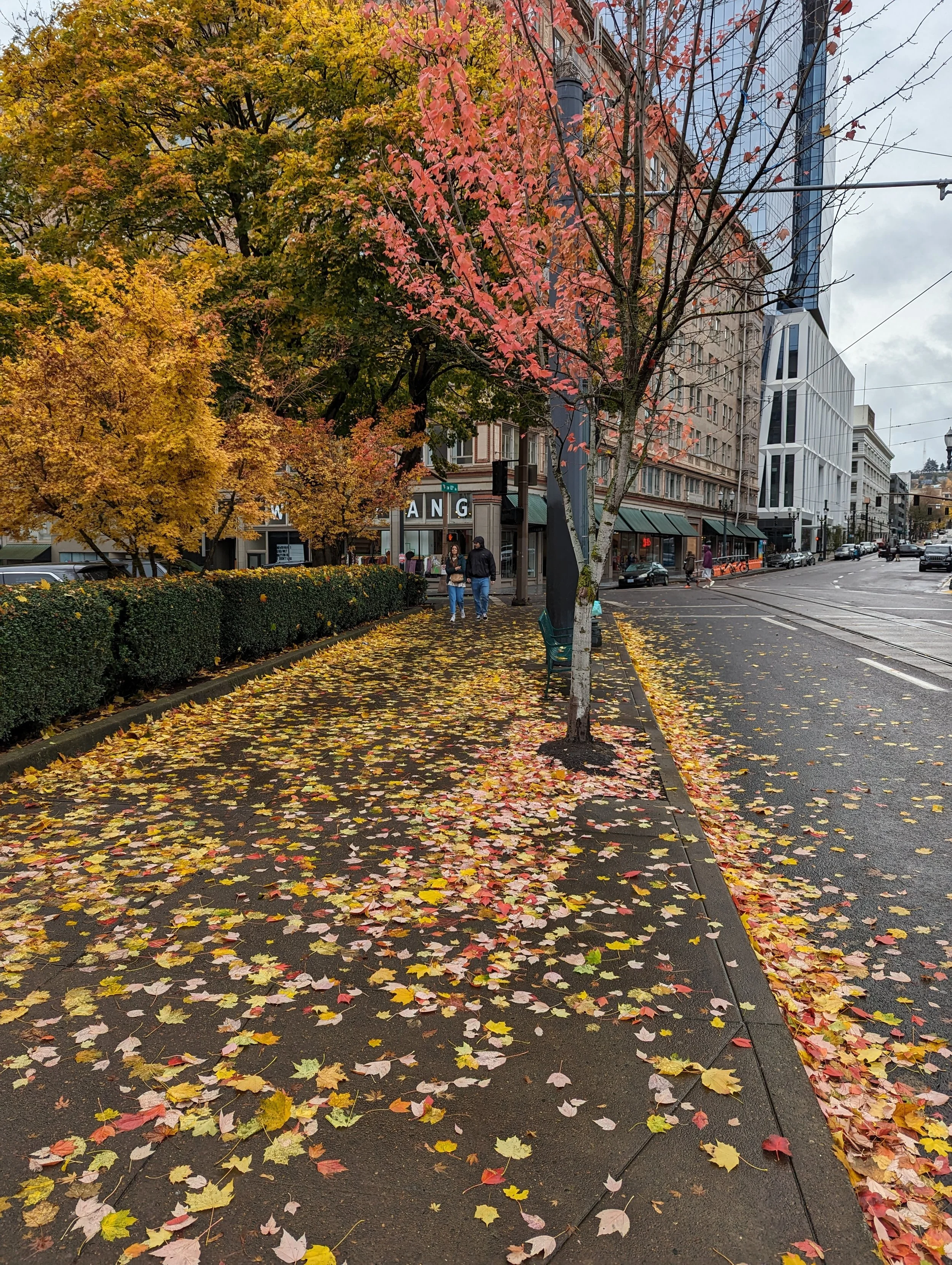 Autumn in Downtown Portland | Cell phone photo