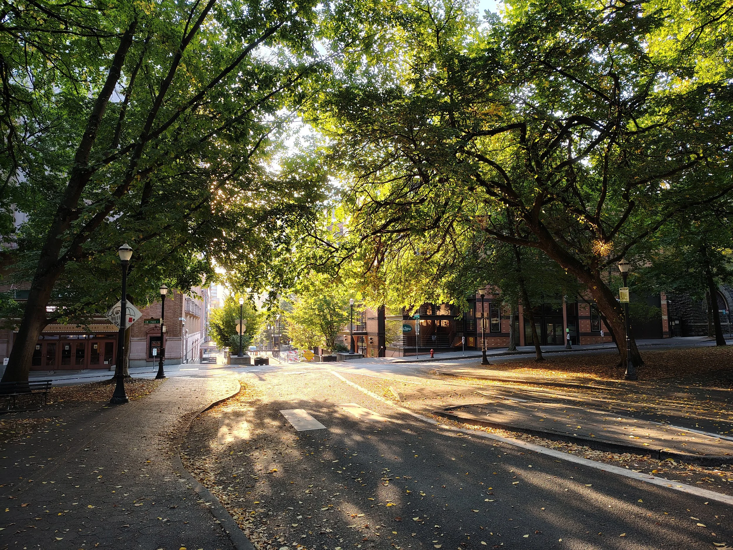 Morning light through the trees in the South Park Blocks in Portland  | Cell phone photo
