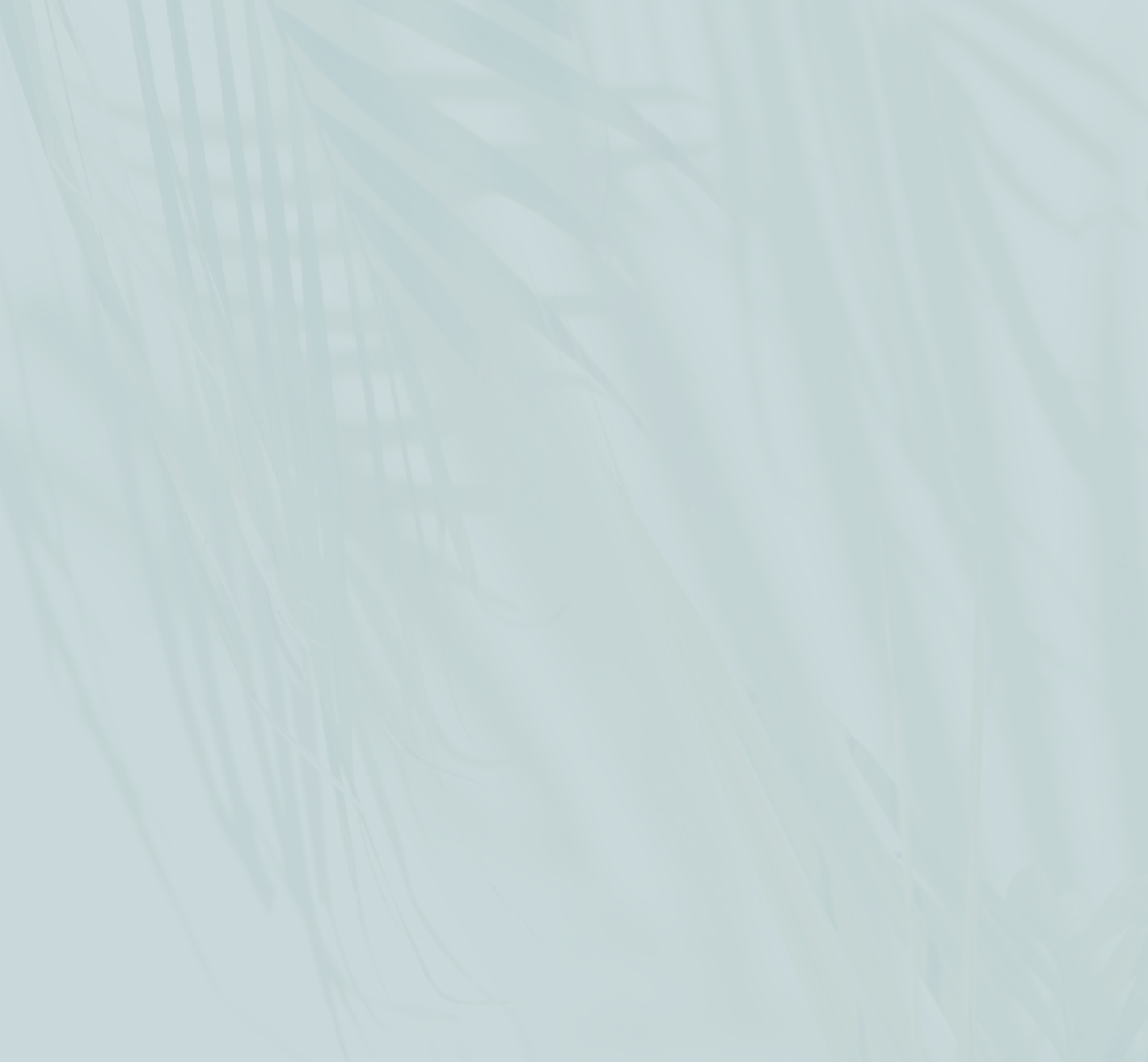 Empty light blue background with faint palm leaf shadows.