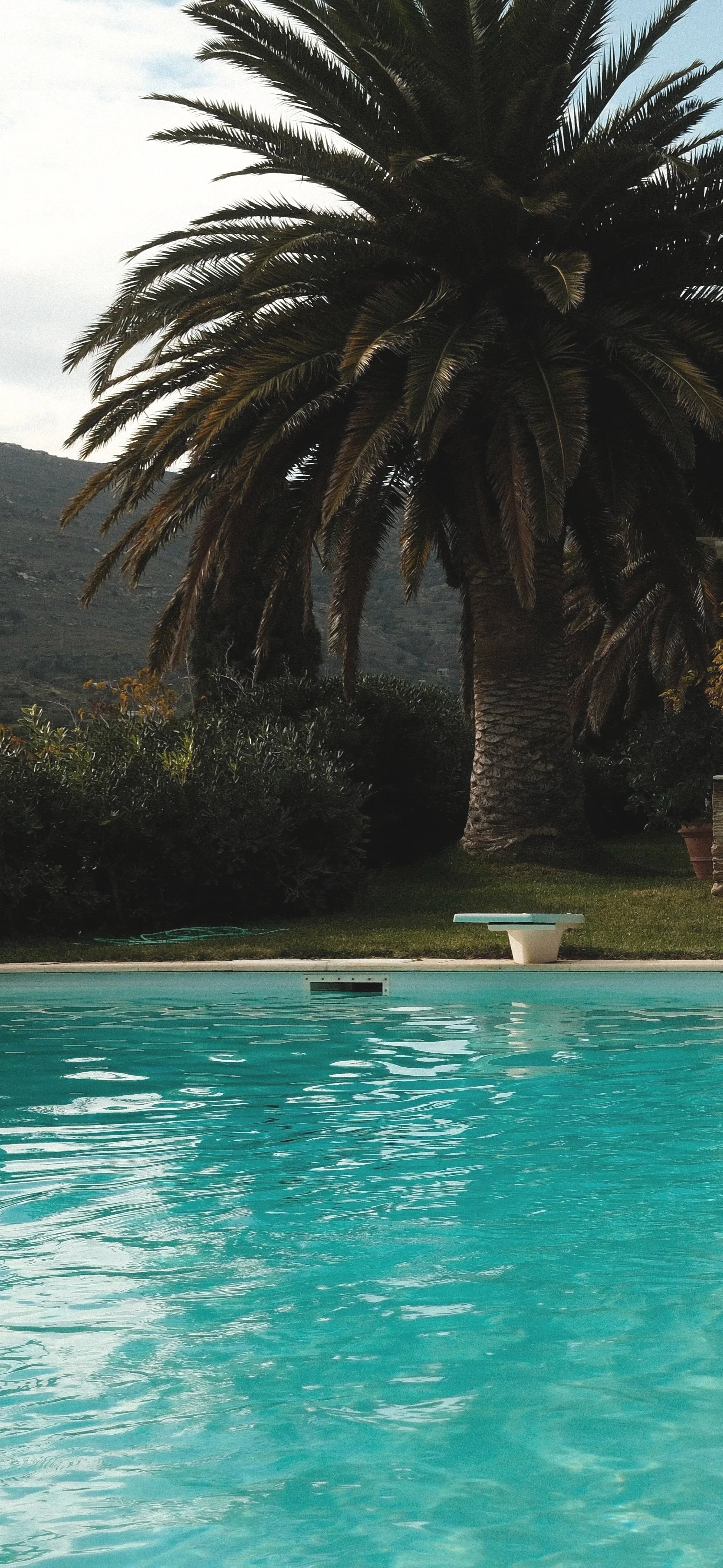 En swimmingpool med blå vand foran en stor palme, omgivet af buske, med en baggrund af bjerge under en overskyet himmel.