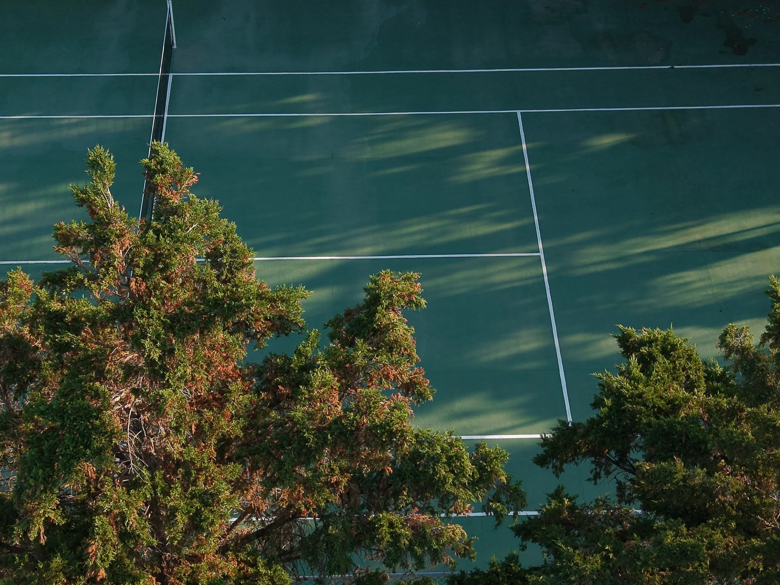 DJI_20260709073204_0045_D.JPG
