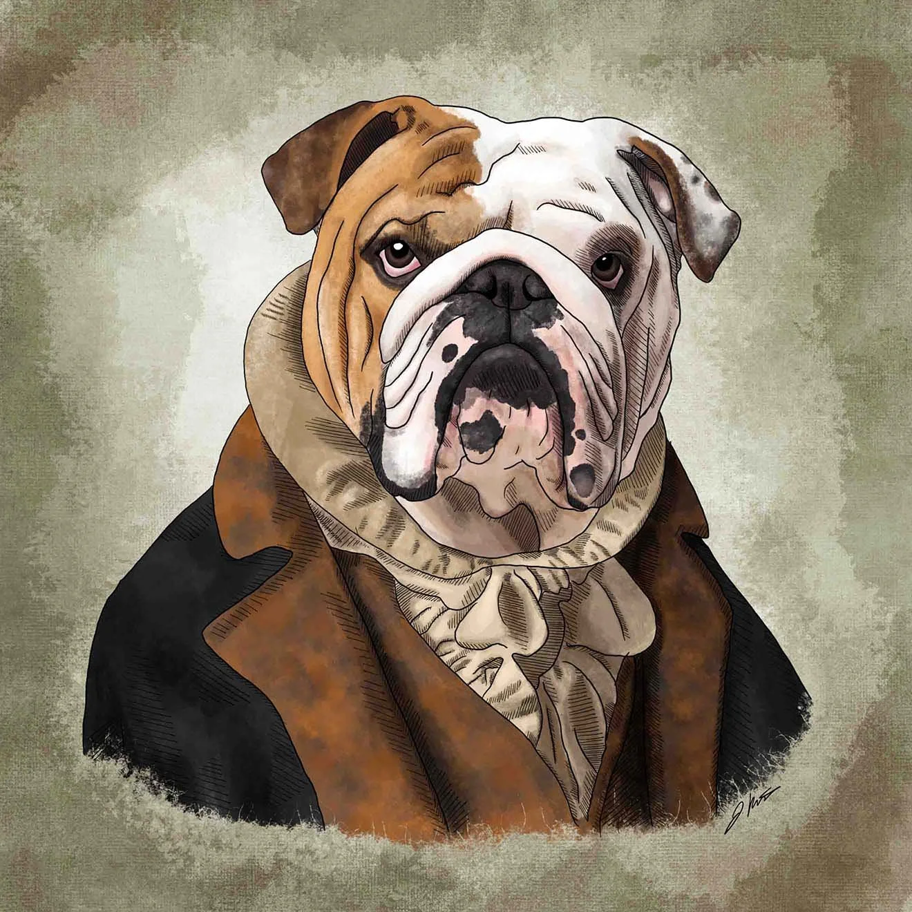 Bulldog-portait-web.jpg