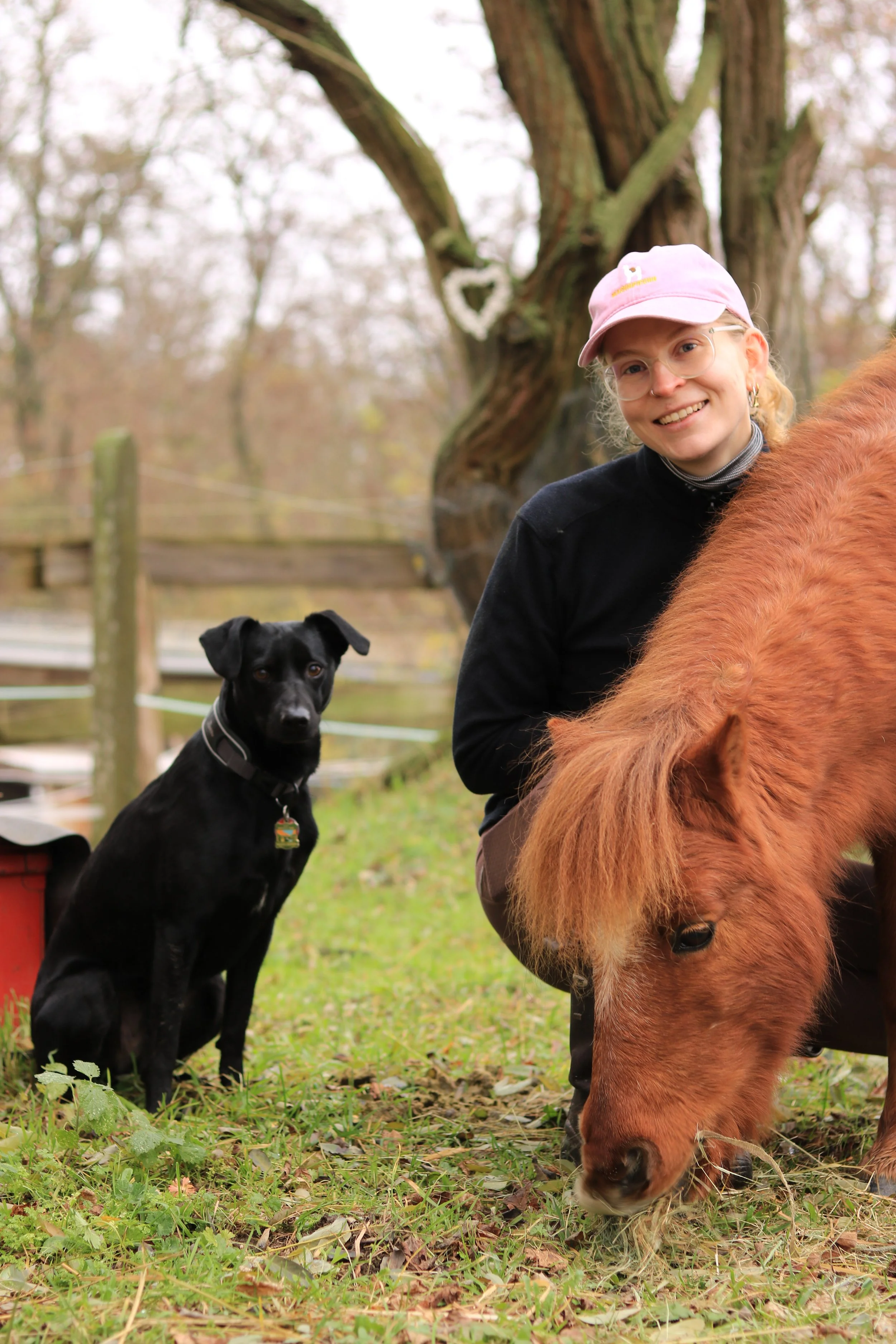 Pferdeosteopathie Paula Geßner