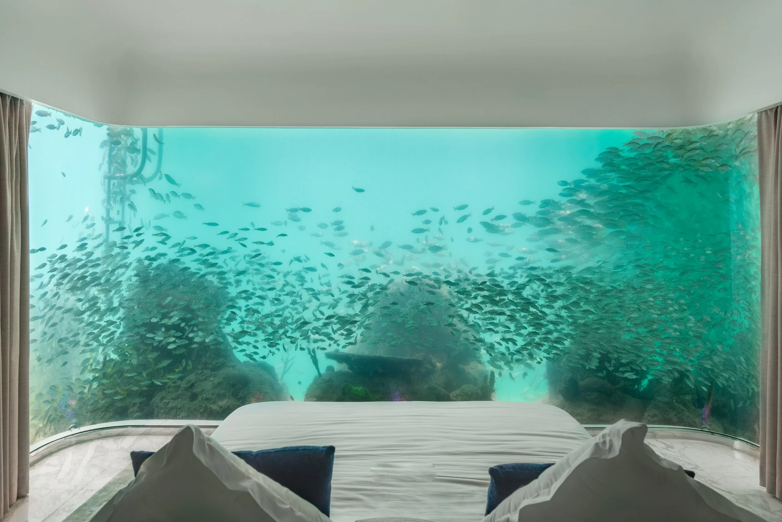 Floating Seahorse Aquarium in Bedroom High Resolution photo.jpg