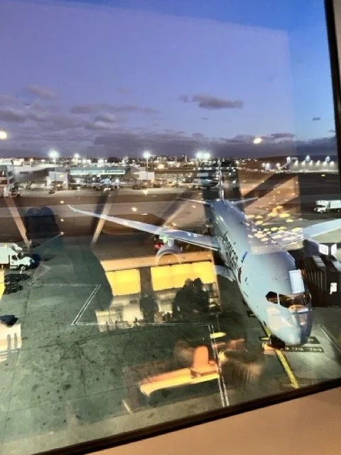 IMG_7247 Medium.jpeg