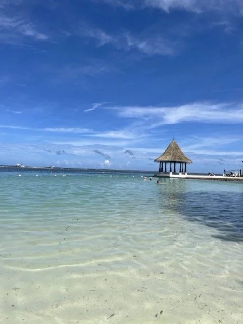 IMG_6534 Medium.jpeg