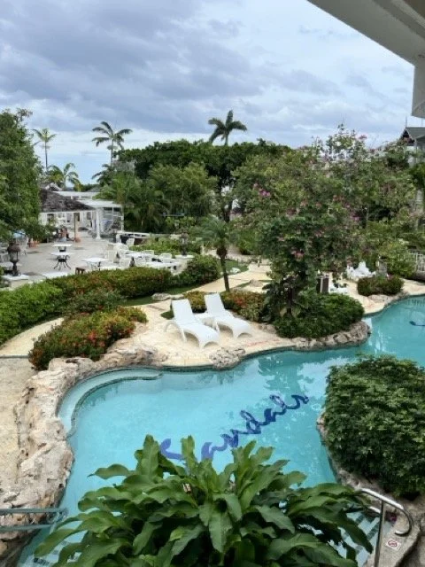 IMG_6516 Medium.jpeg