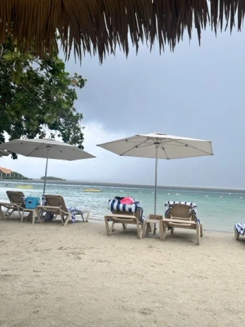 IMG_6522 Medium.jpeg