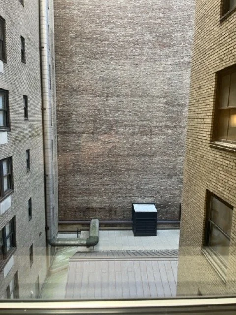 IMG_6373 Medium.jpeg