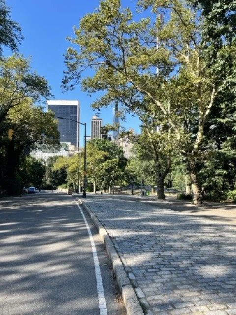 JW Marriott Essex House: Great new lounge, great location but rooms are very hit or miss