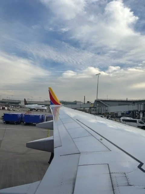 IMG_1456 Medium 2.jpeg