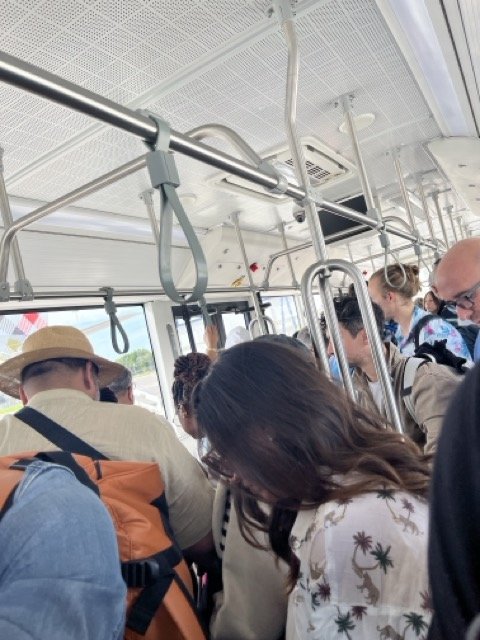 IMG_6061 Medium.jpeg