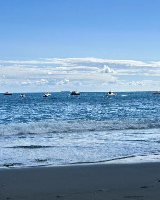 IMG_3517 Medium.jpeg