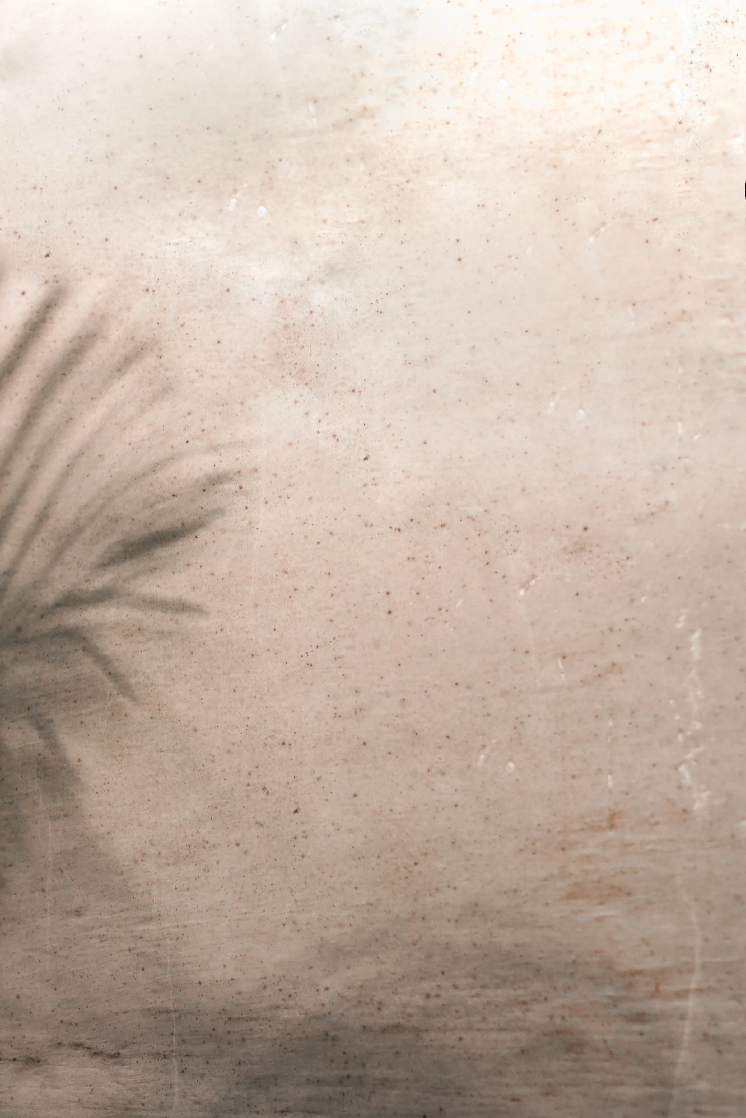 Close-up of a textured wall with a shadow of a palm leaf in the lower left corner.
