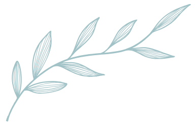 Decorative leaf icon used in Aviso Studios branding.