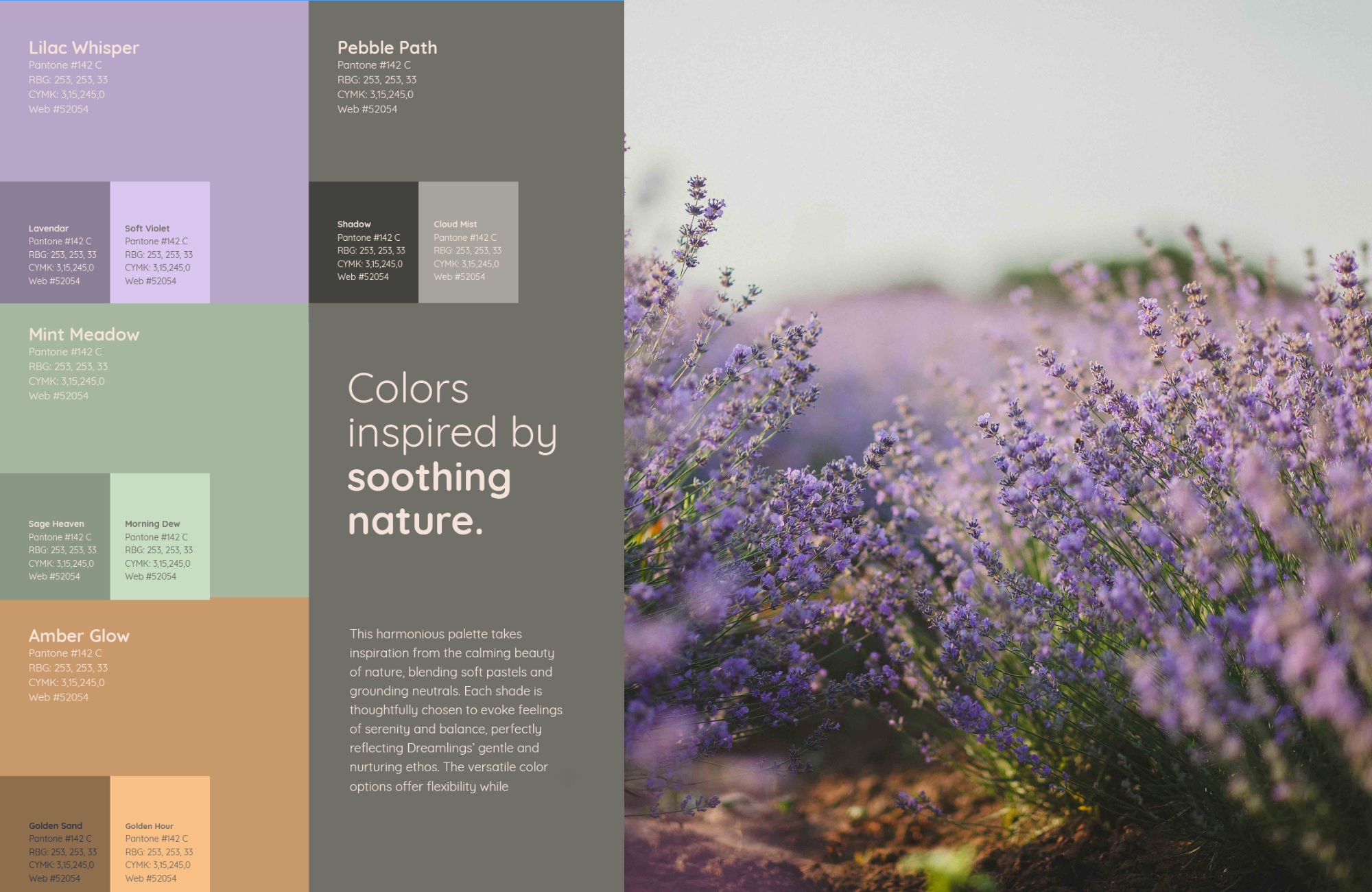 Dreamlings brand color palette paired with a lavender field photograph, highlighting soft, nature-inspired tones for a baby boutique.