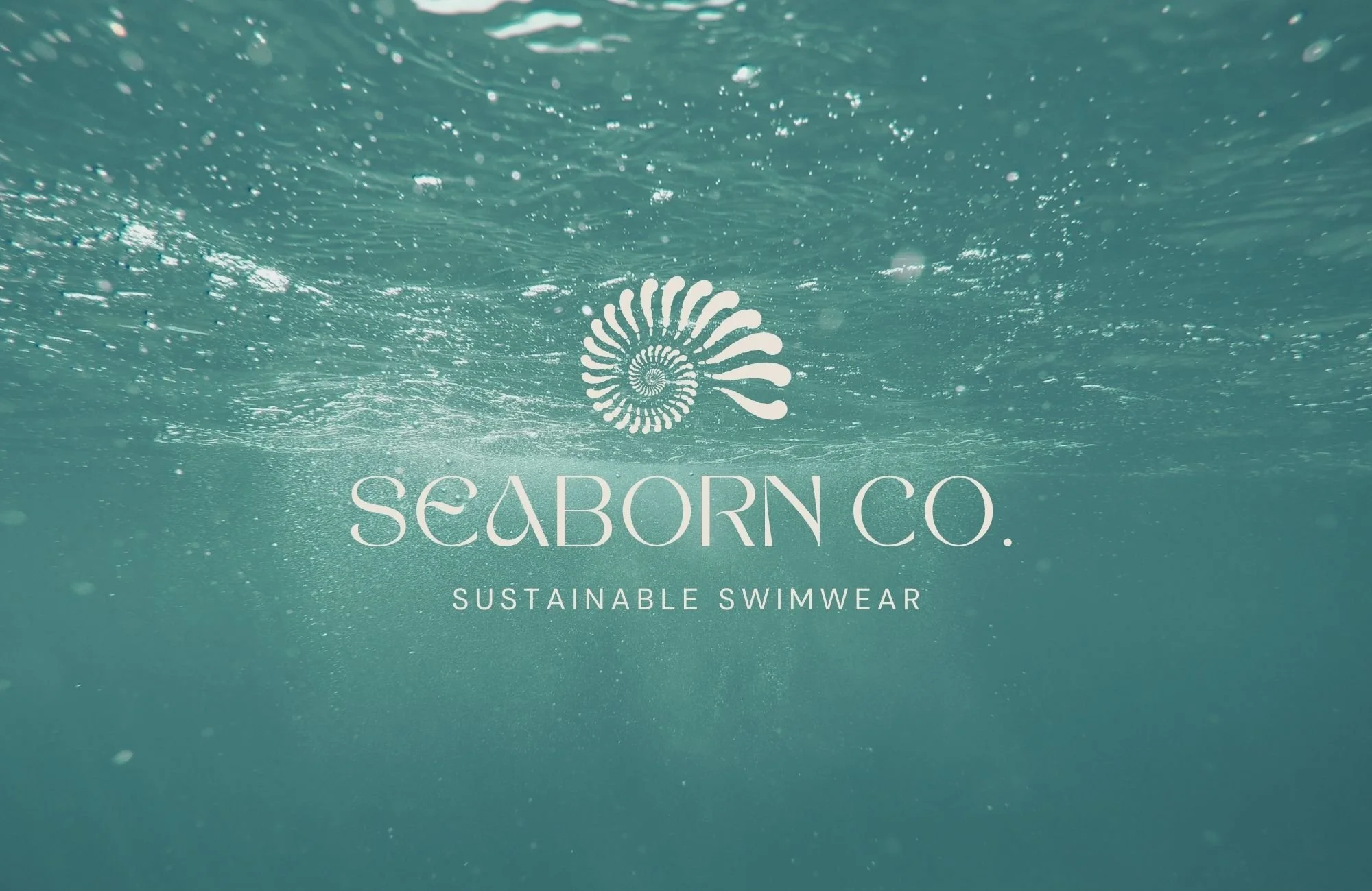 seaborn logo on ocean.jpg