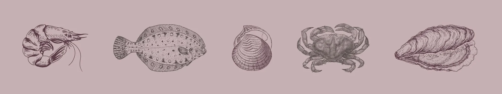 Series of hand-drawn seafood illustrations featuring a shrimp, flounder, clam, crab, and oyster, designed to complement the branding for an upscale seafood restaurant.