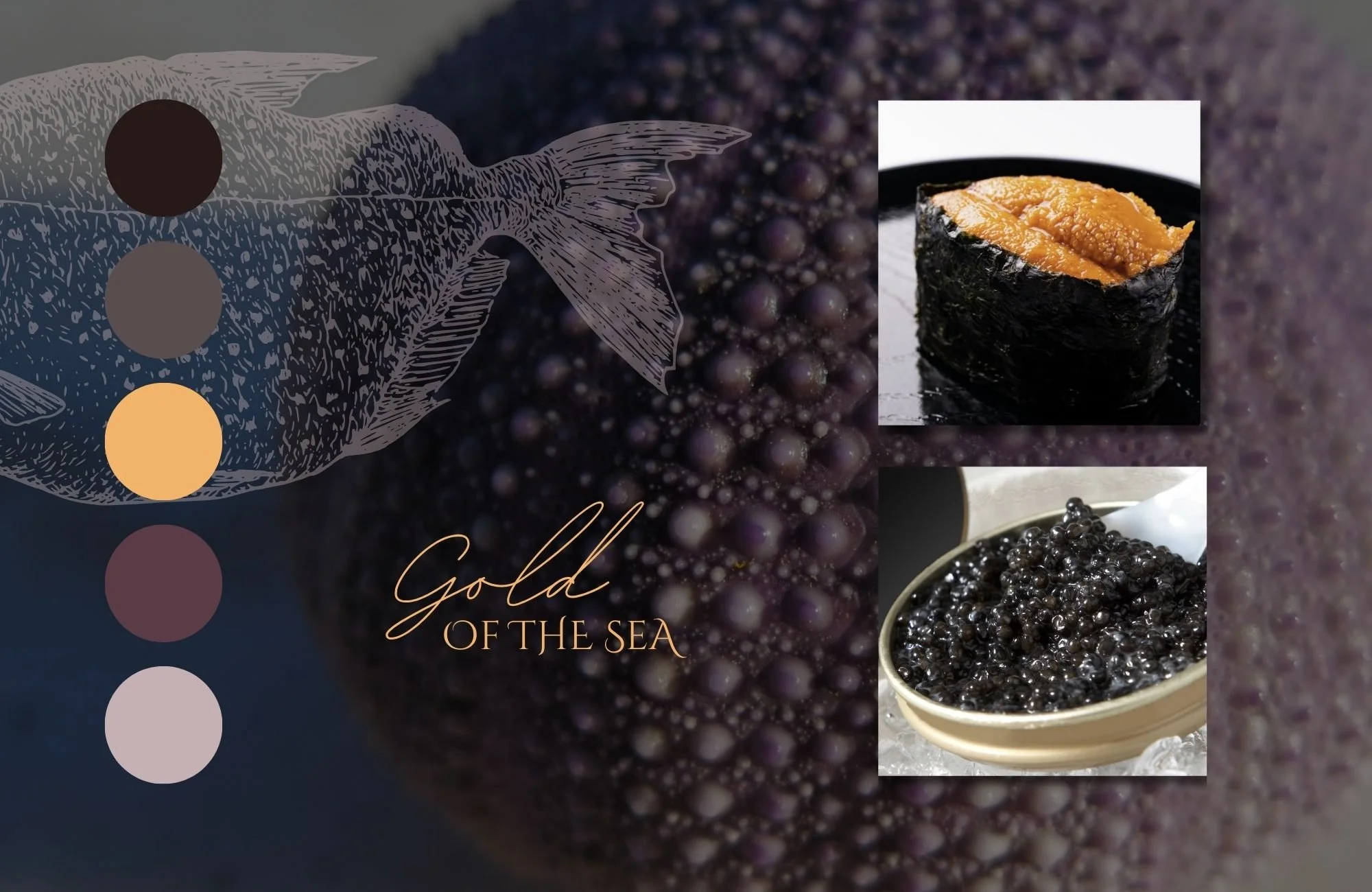 Color palette for fine dining seafood restaurant inspired by sea urchin and caviar, featuring rich purples, gold, and deep neutrals with food photography.