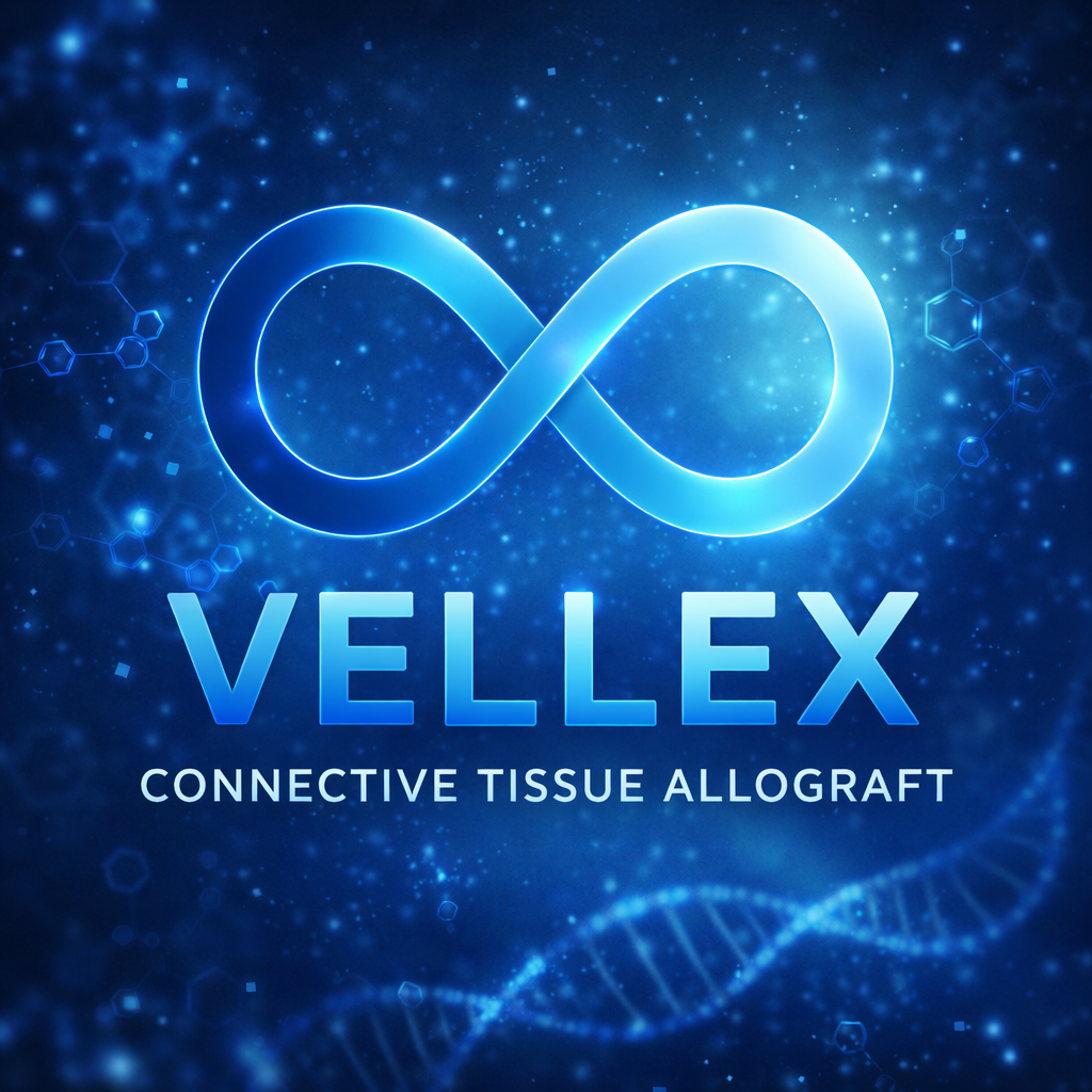 VellexLogo.png
