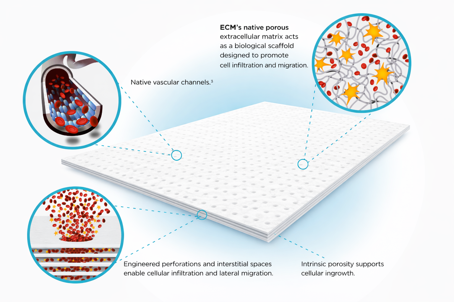 Biologic Portfolio.png