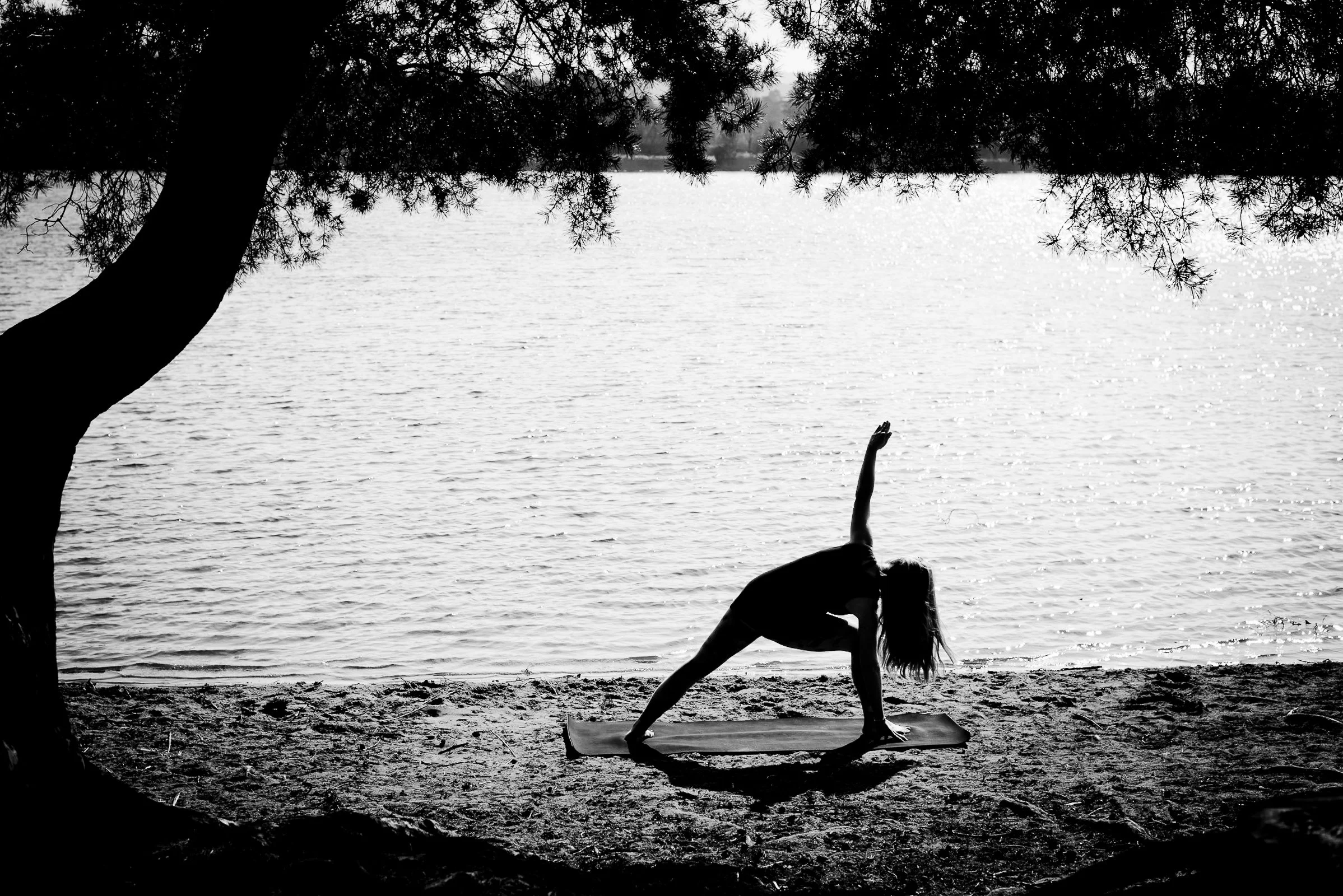 Silhouette of Sophie practicing yoga on a mat by a lake, framed by a large tree with branches overhead.