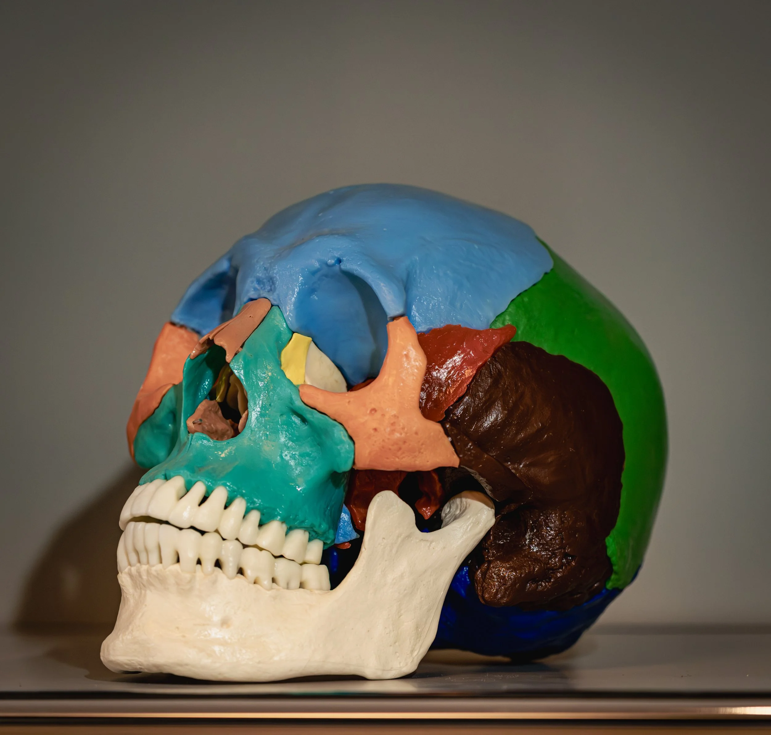 OSTEONEA - Praxis für Osteopathie Friederike Rasche