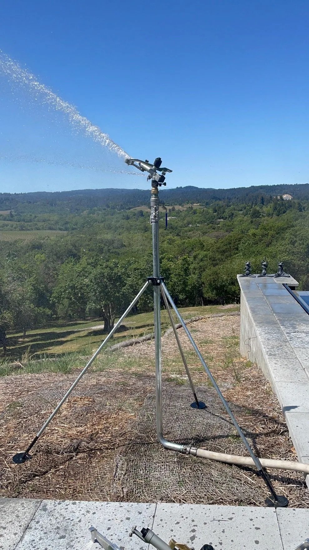 Premium Fire Sprinklers