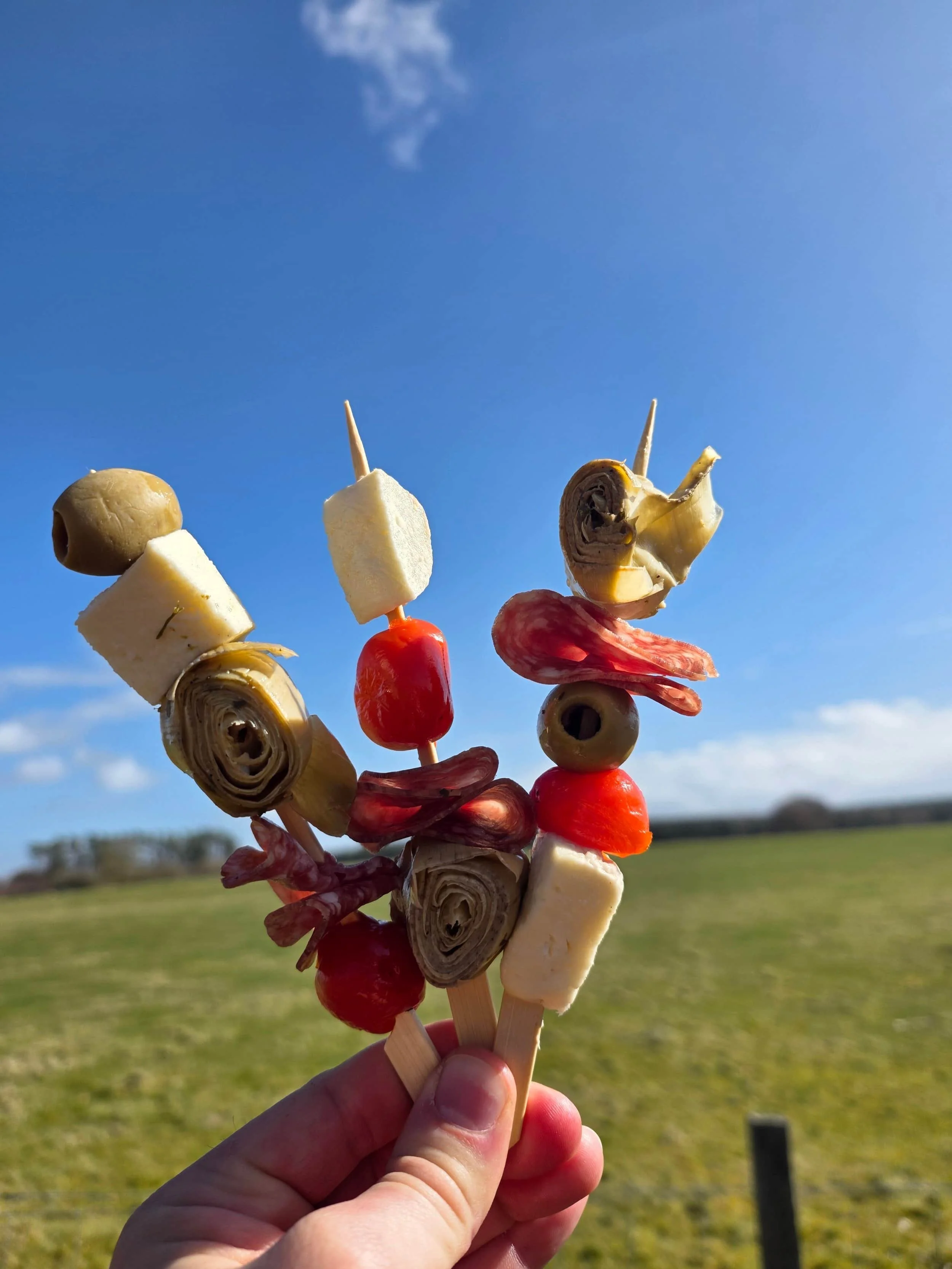 Person holding a skewer with cheese, cherry tomatoes, olives, and cured meat against a blue sky and green field background.