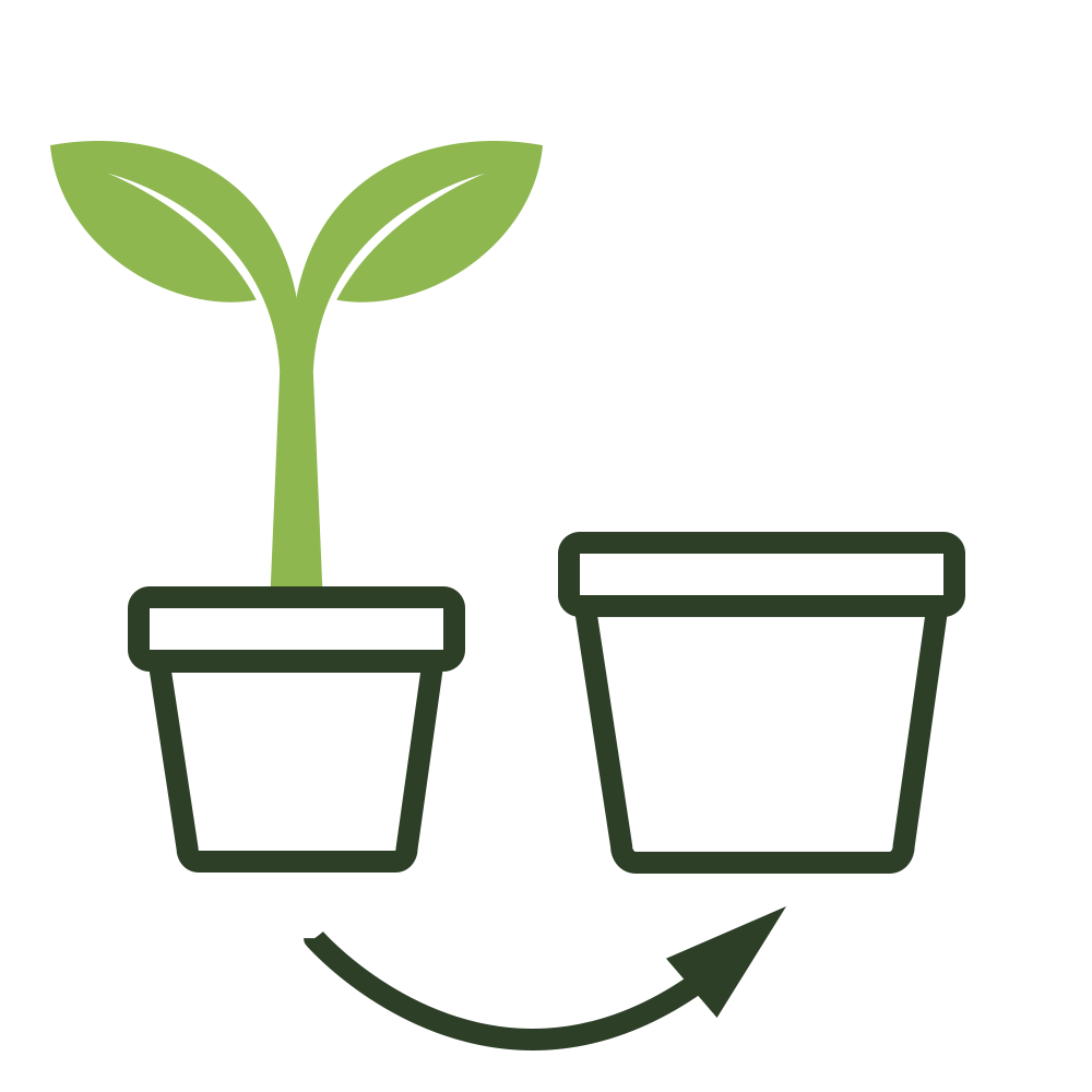 Illusztració: növény átültetése egy kisebb cserépből egy másik nagyobba, egy ívelt nyíl jelzi a folyamatot, a növekedést és a környezetváltozást szimbolizálva.