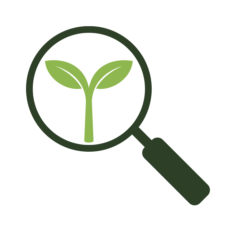 Illusztráció: Zöld hajtás nagyító alatt, az önismeret és önfejlesztés szimbóluma.