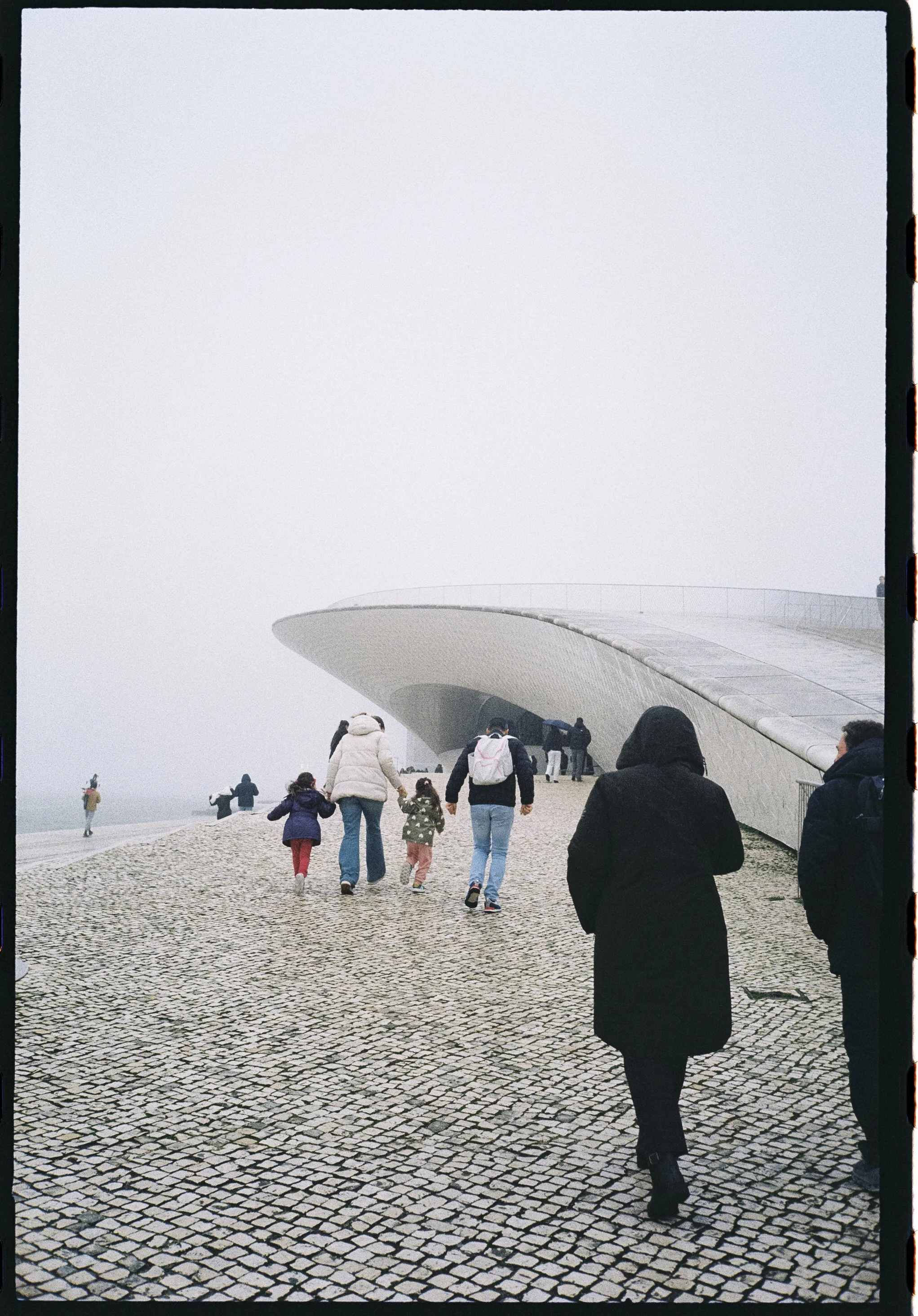 2498-5.jpg