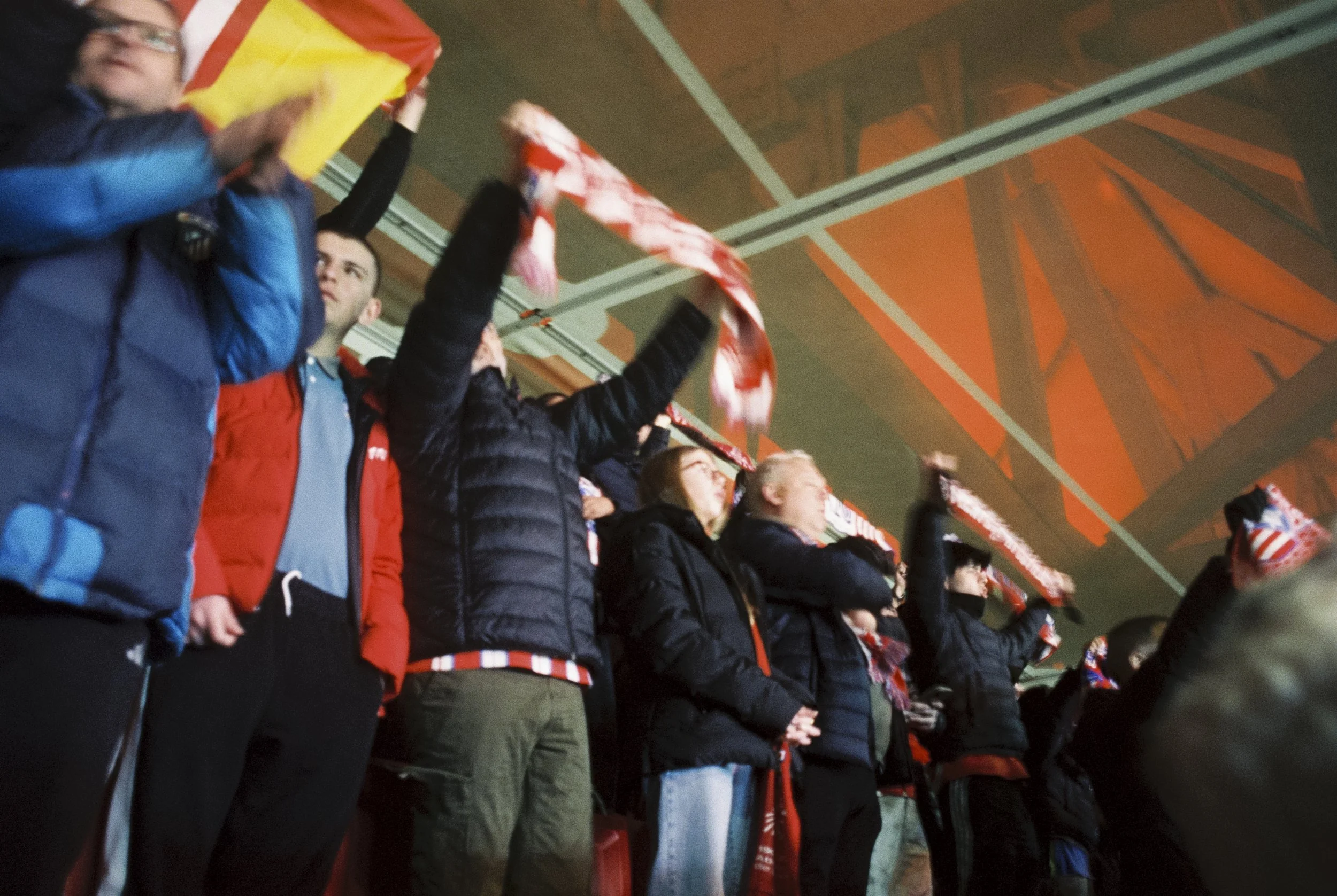 2955-7.jpg