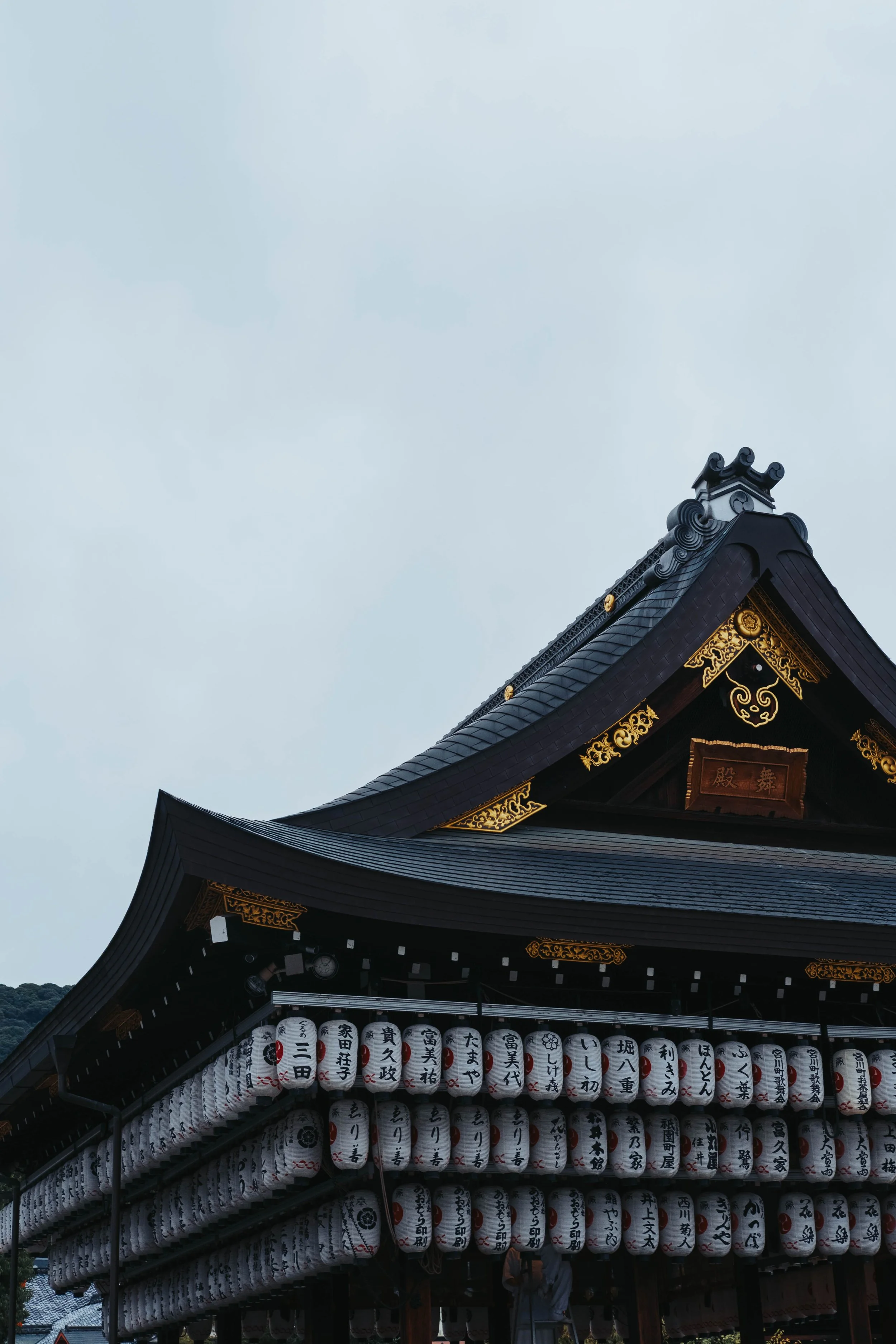 DSCF5768.jpg