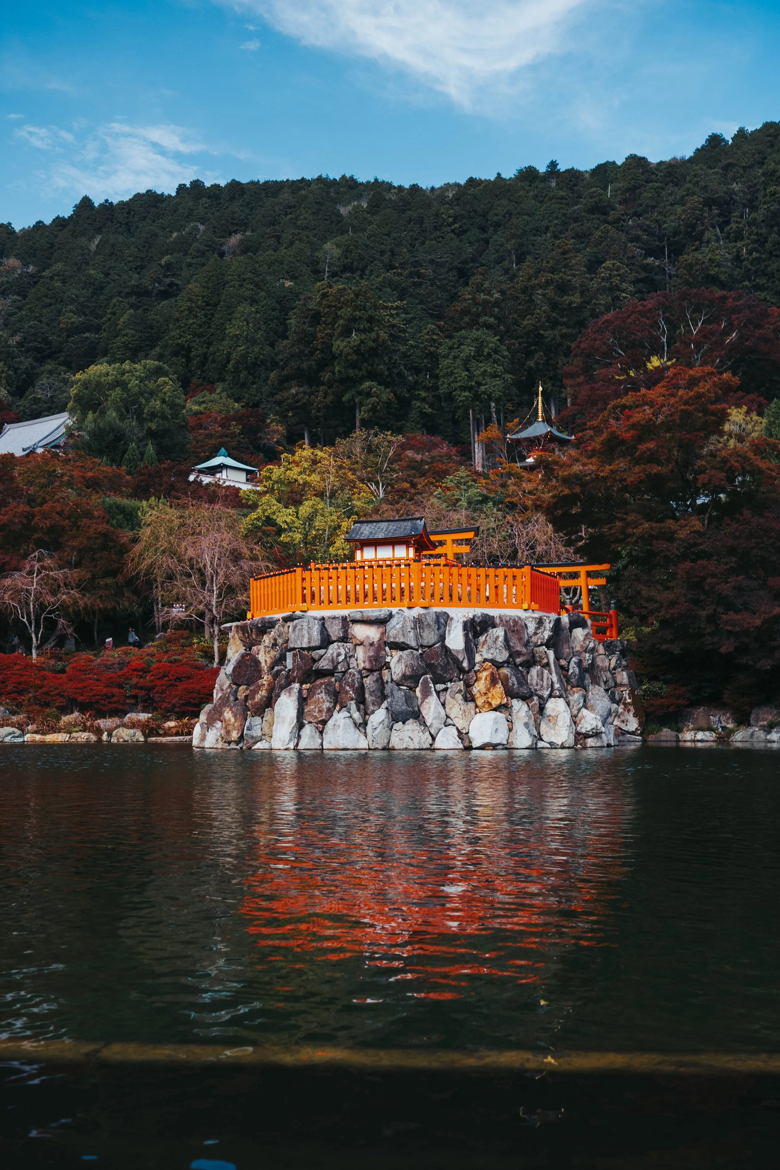DSCF6849.jpg