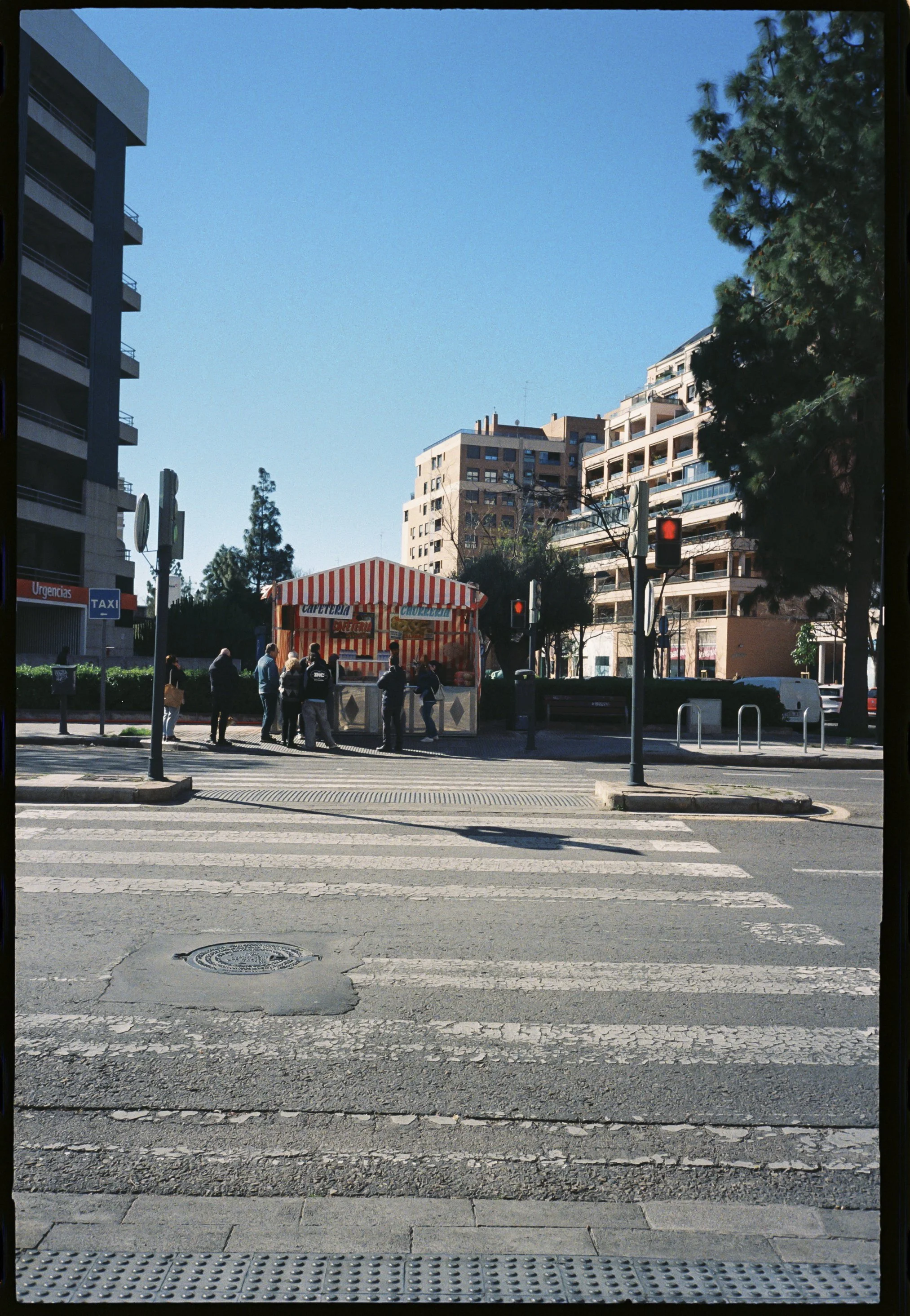3987-5.jpg