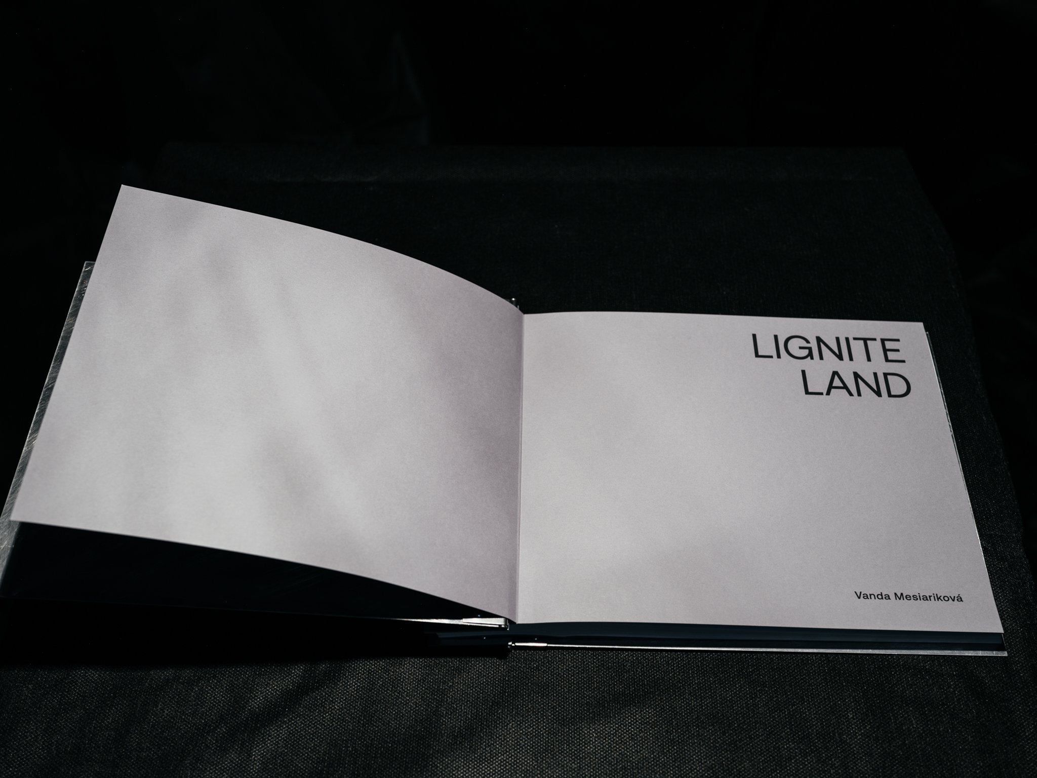 lignite land_vanda mesiarikova_28.jpg