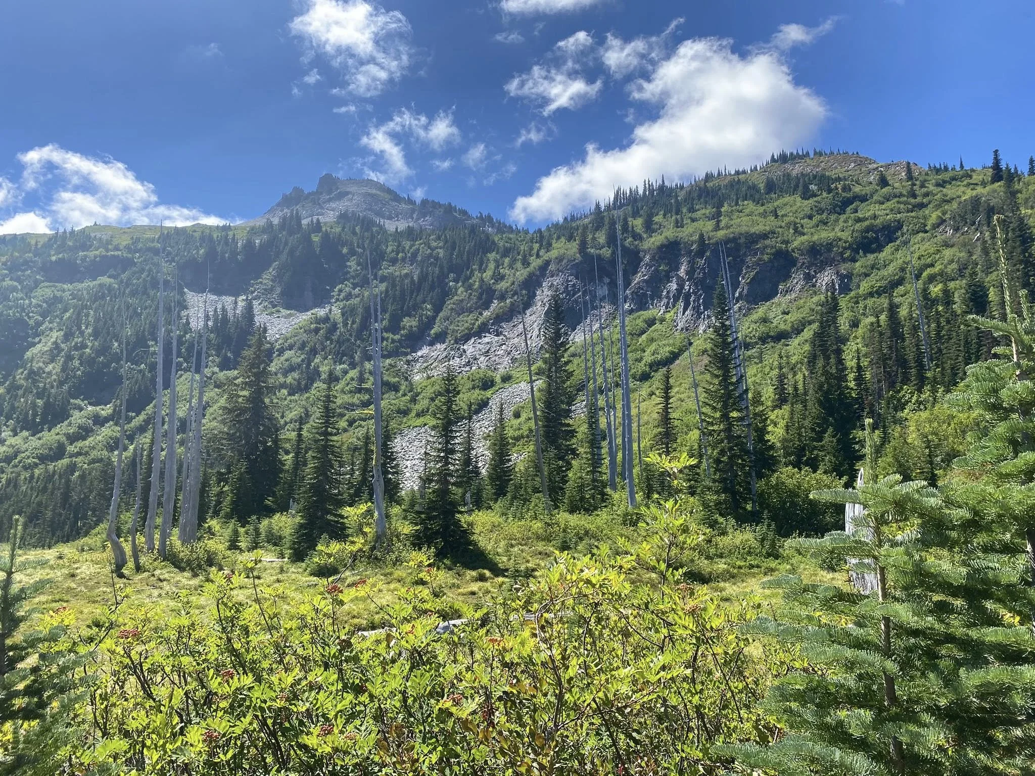 A lush green mountain landscape with tall trees, rocky slopes, and a partly cloudy blue sky.