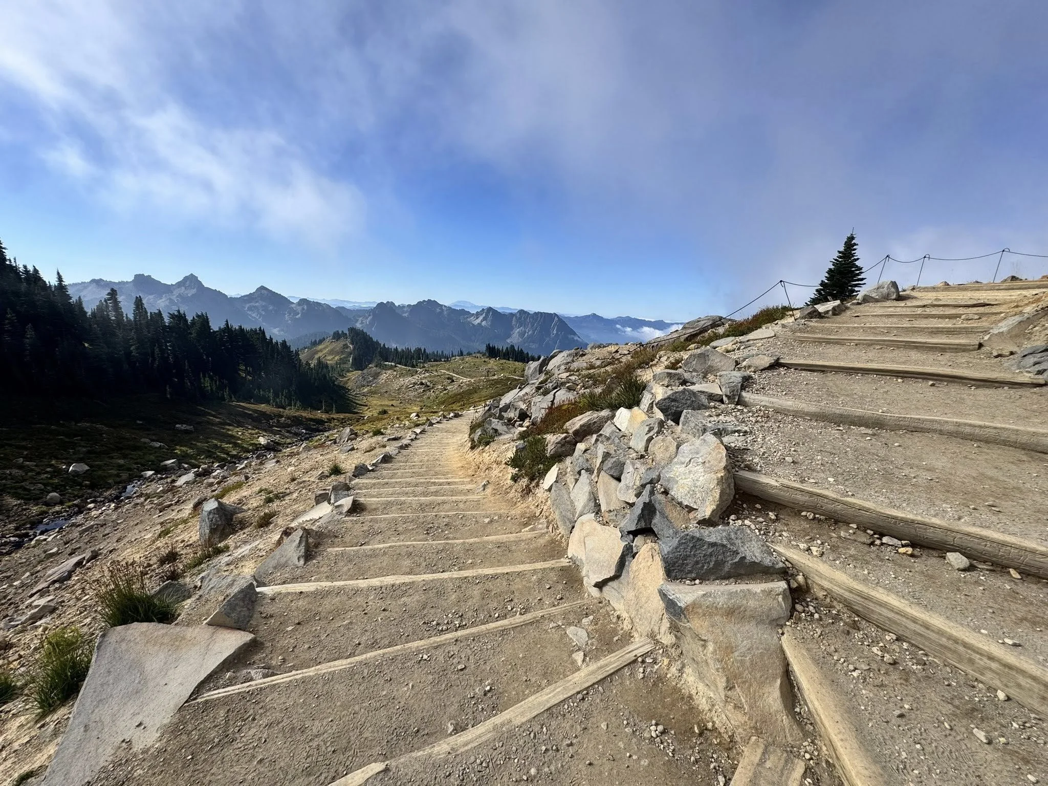 A mountain trail with wooden steps and rocks, surrounded by pine trees and distant mountain peaks under a partly cloudy sky. nature for mental health, emotional well being, nature walk, forest bathing, exercise, lifestyle modifications, wellness, car