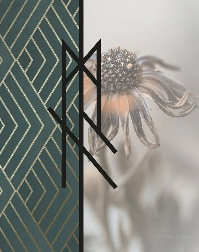 Een afbeelding met een geometrisch patroon aan de linkerzijde en een foto van een bloem aan de rechterzijde, gesplitst door een zwarte lijn en een geluidssymbool in het midden.