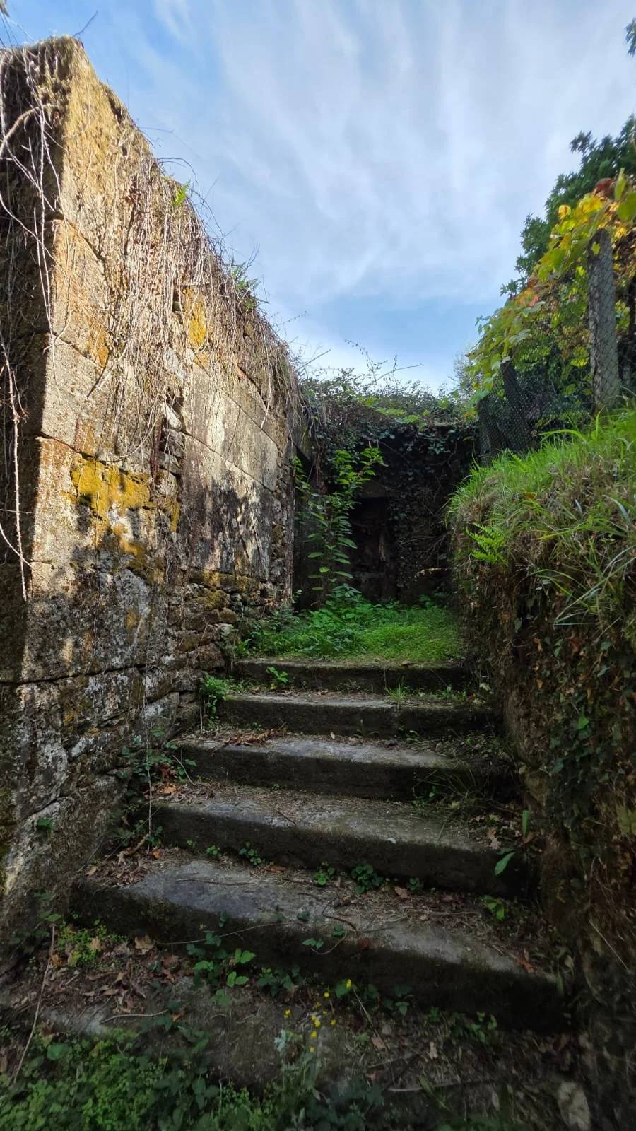 Antes e depois da demolição e remoções (Before and after demolition and removals)