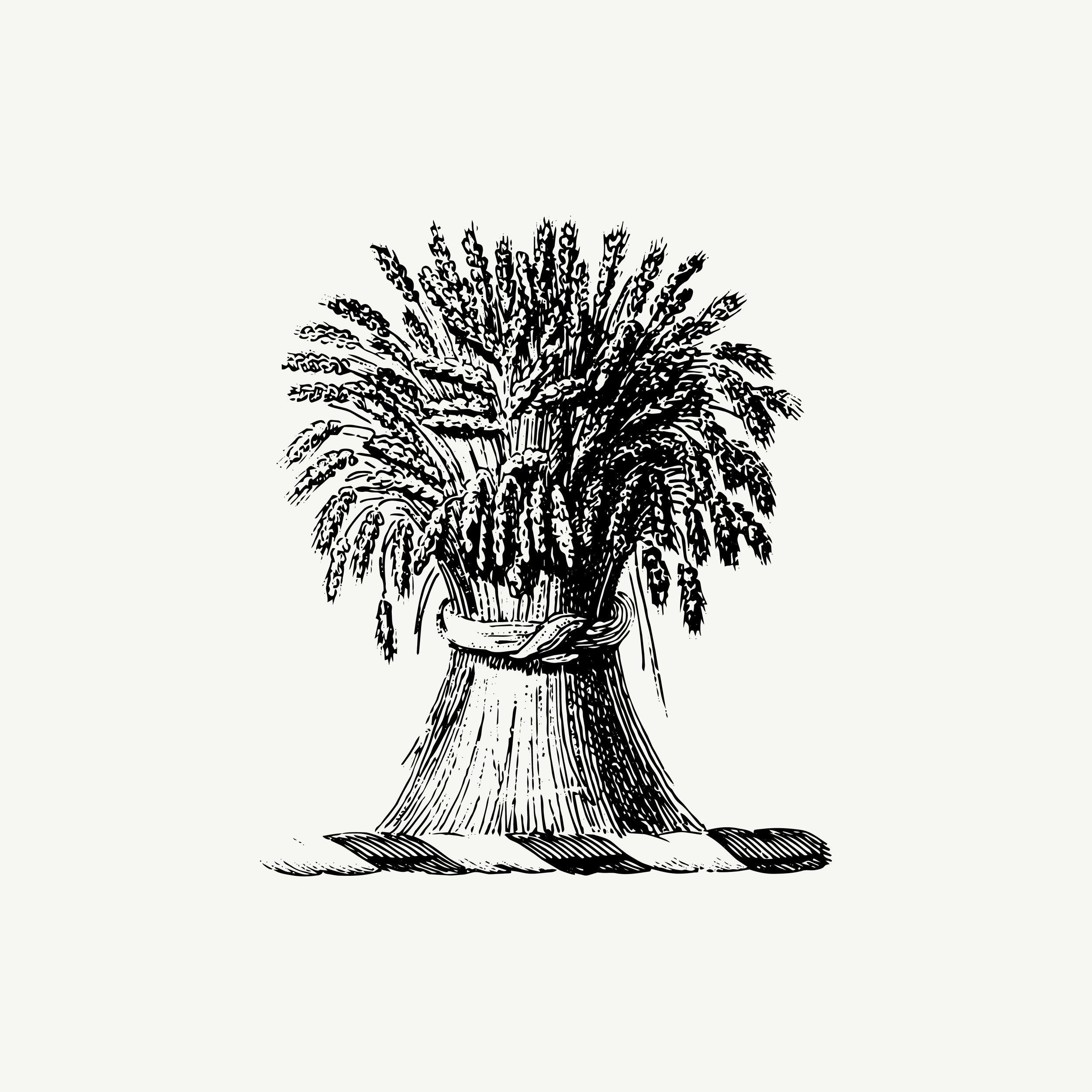 Engraved crest depicting a sheaf of wheat, historic agricultural illustration, black and white