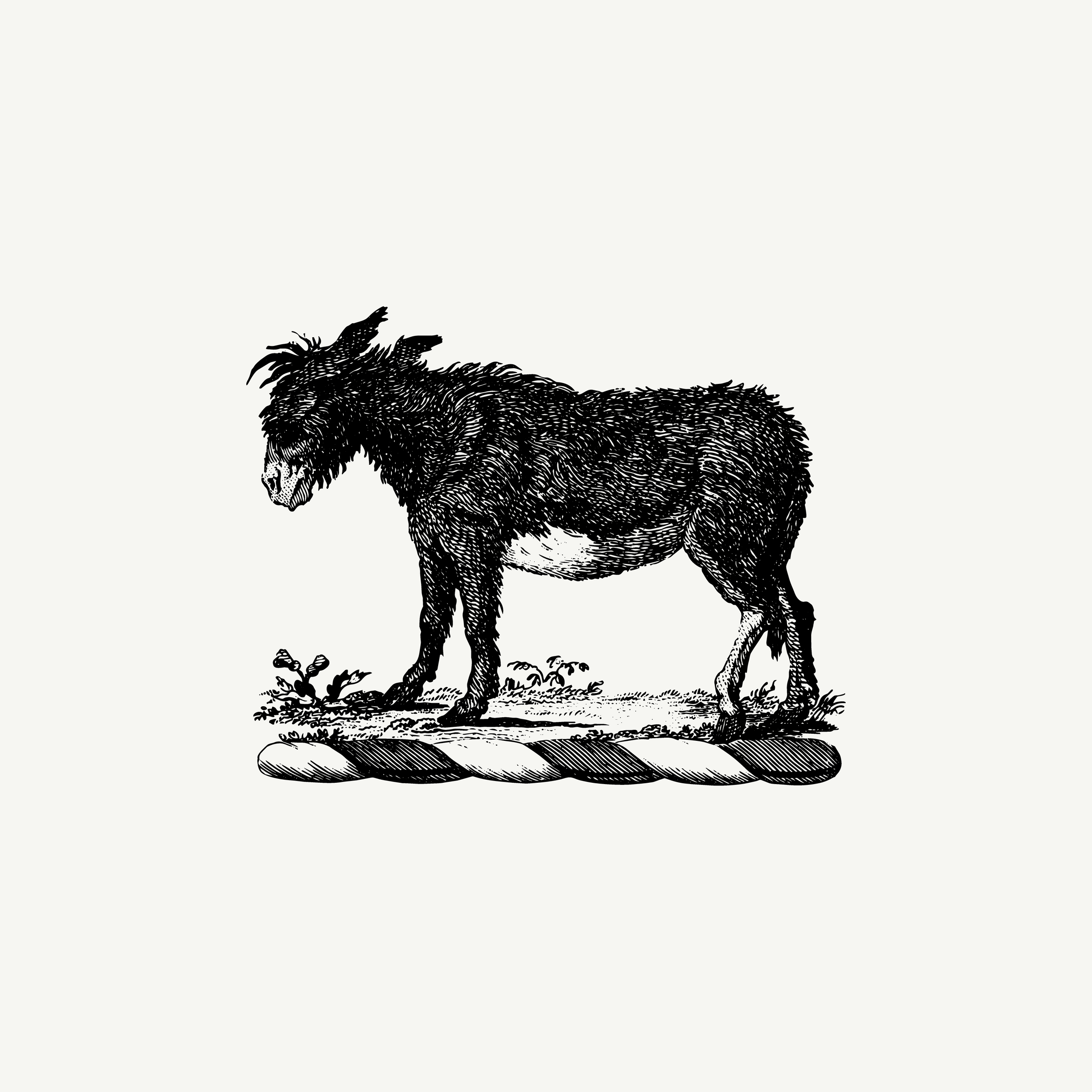 Donkey crest from What Remains, paired with the line "Not every burden is visible"