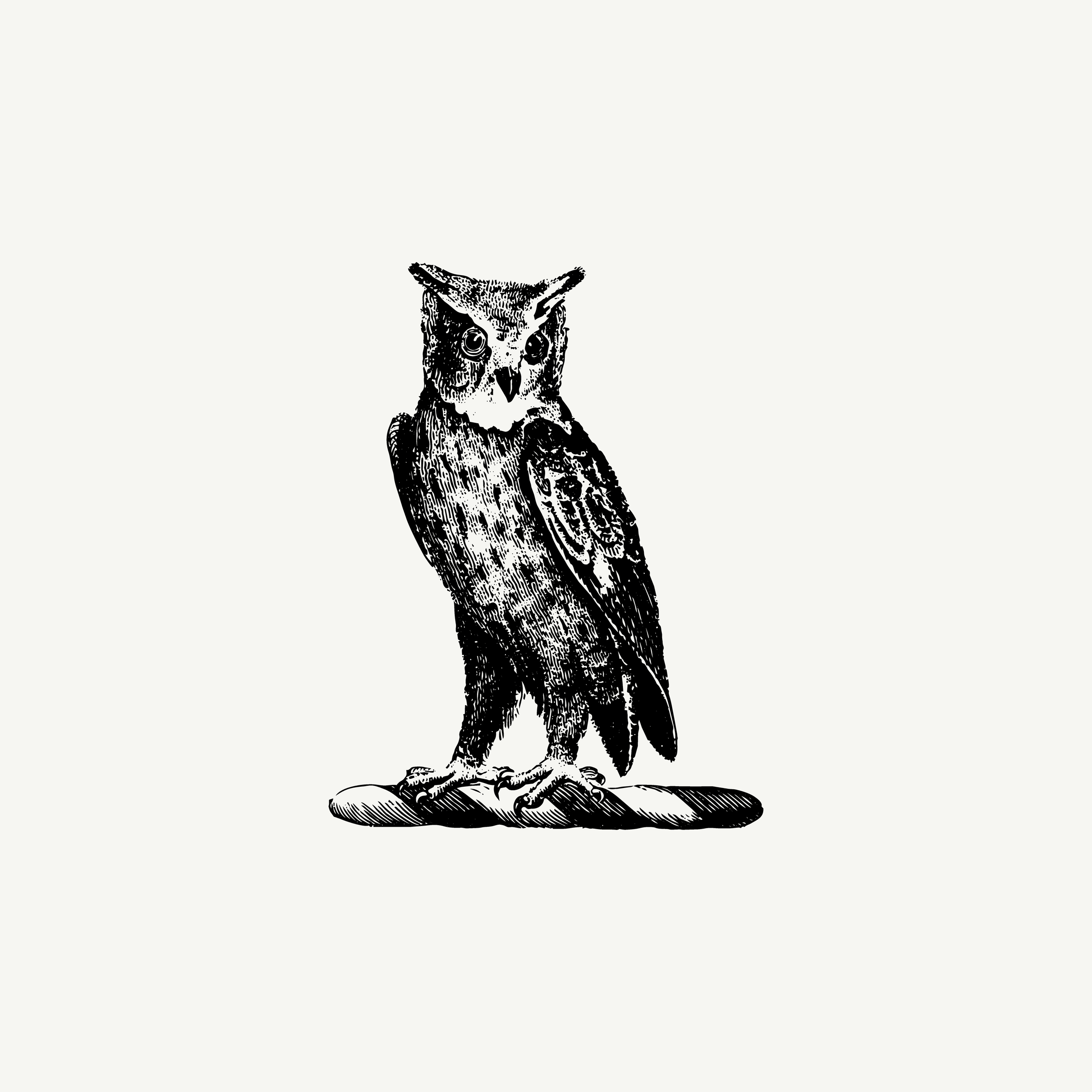 Historic engraved crest of an Owl, paired with the orientation line "I am looking where you cannot" — from the Story & Sigil archive