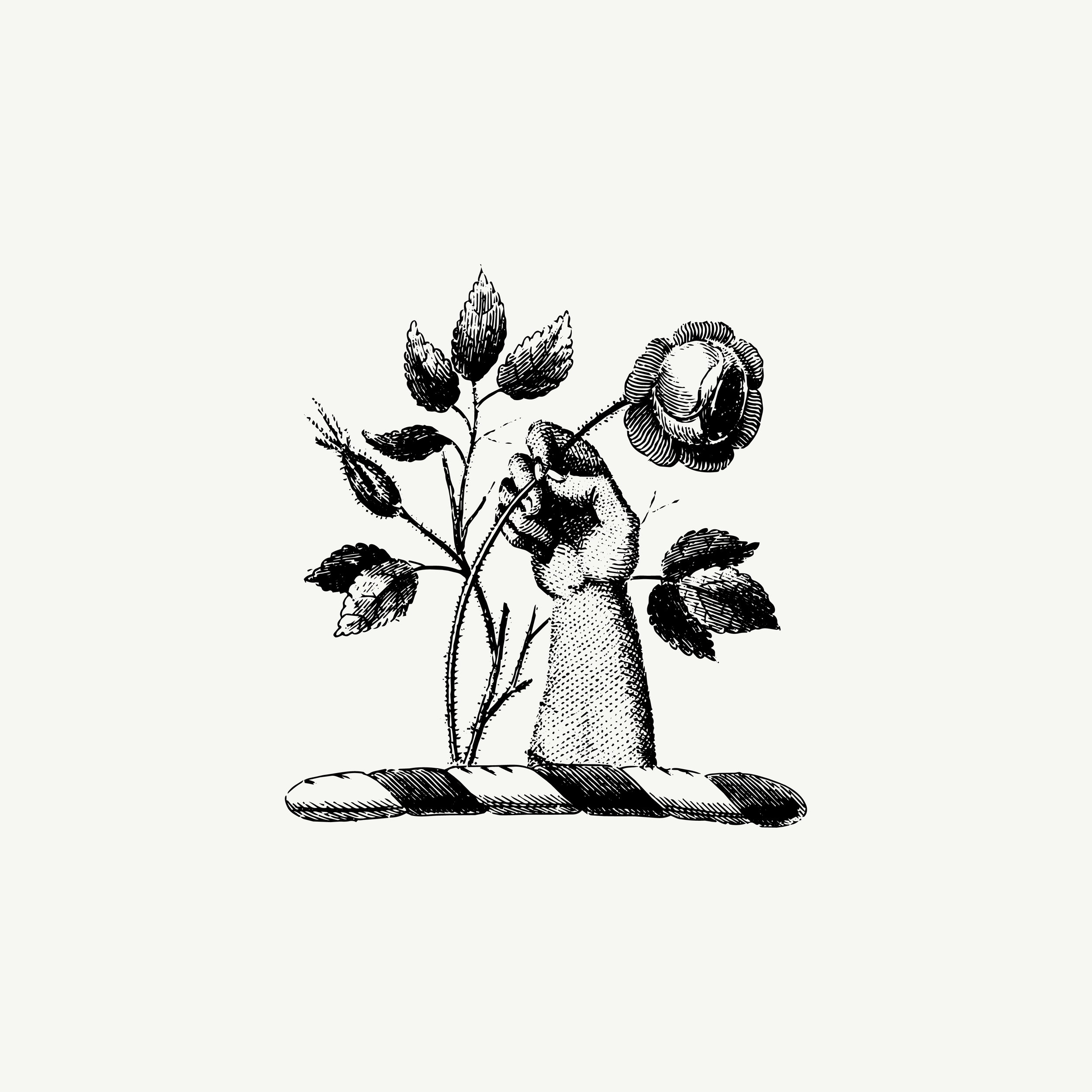 Historic engraved crest of a Hand Holding Flower, paired with the orientation line "How you hold something changes it" — from the Story & Sigil archive