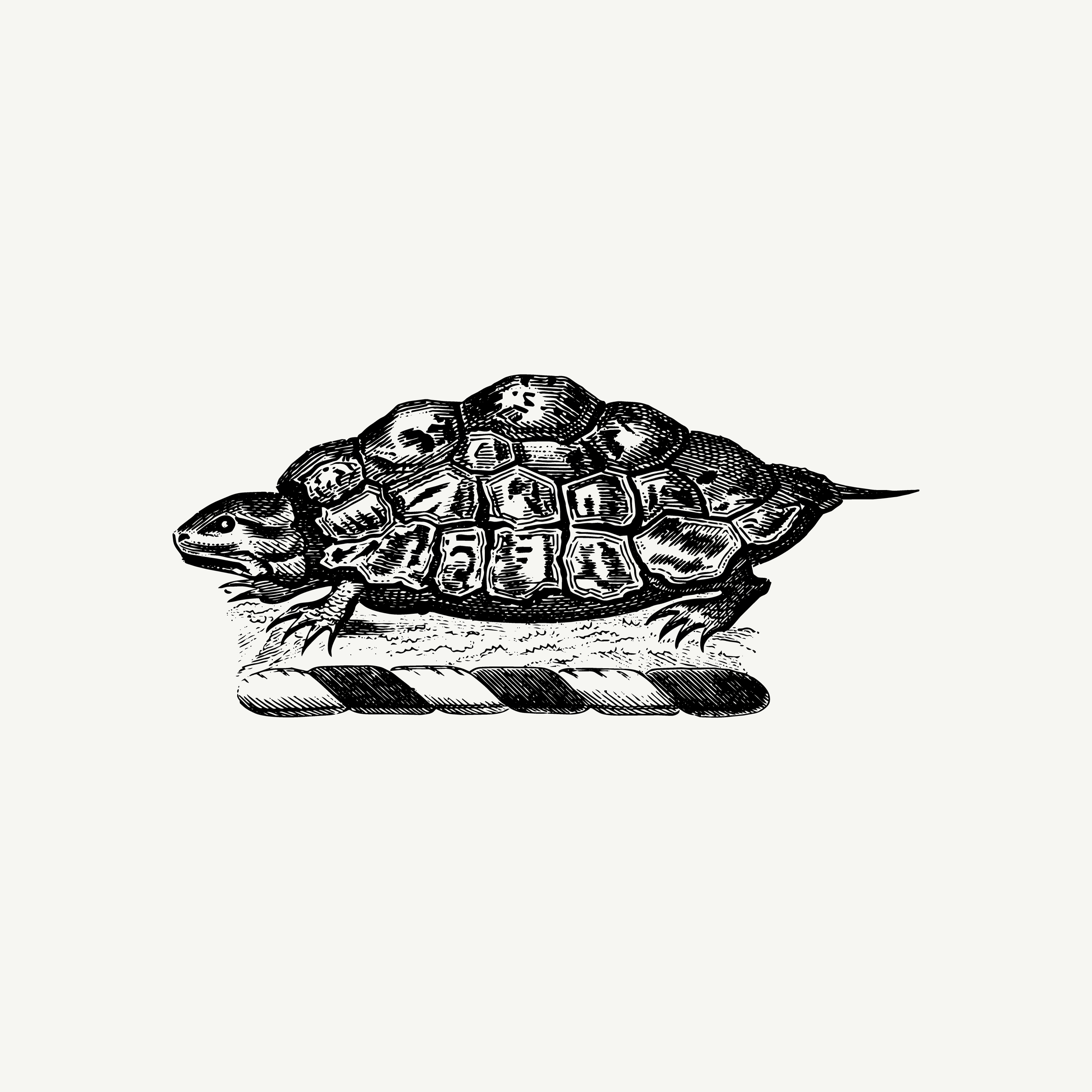Historic engraved crest of a Tortoise, paired with the orientation line "I have never needed to arrive" — from the Story & Sigil archive