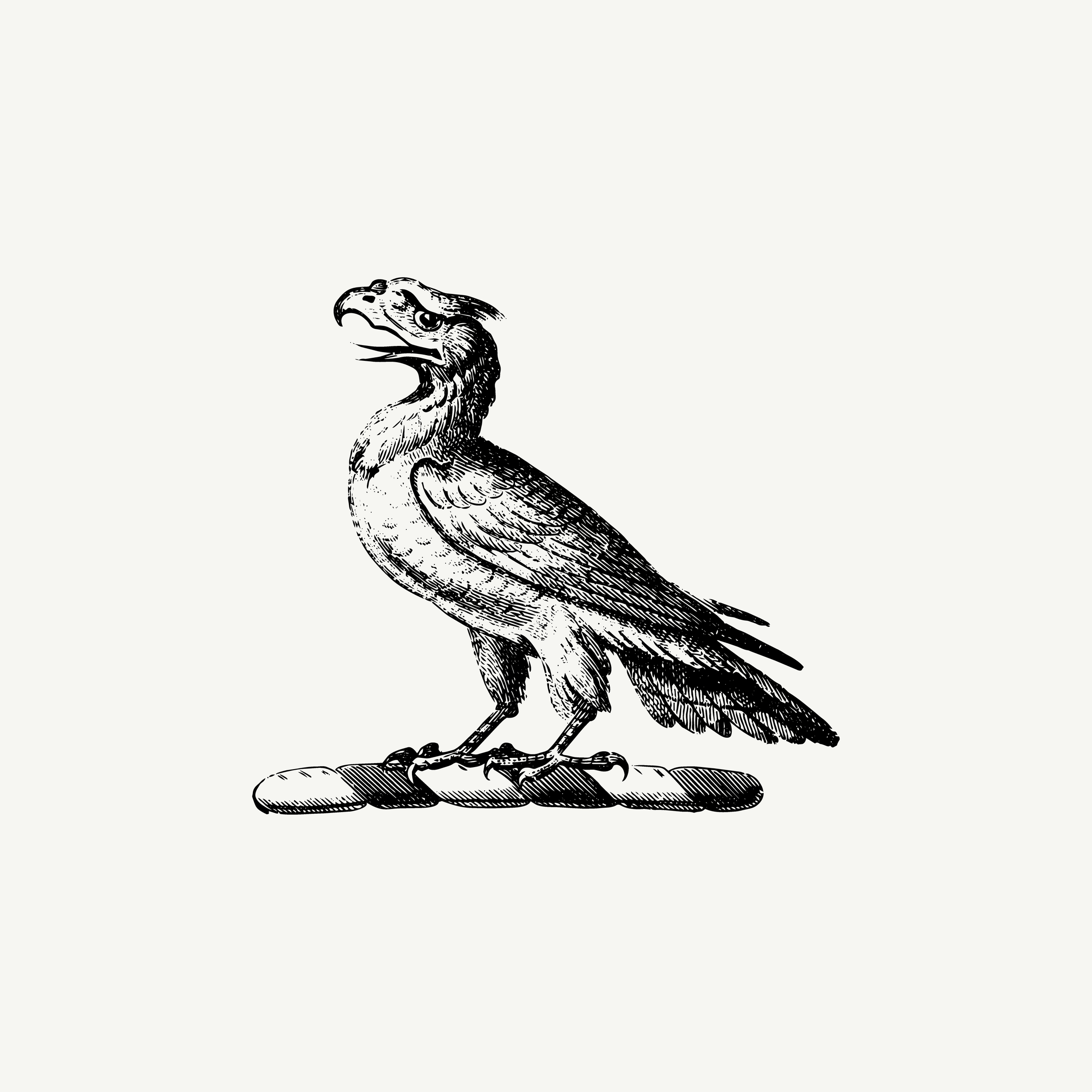 Historic engraved crest of a Bird of Prey, paired with the orientation line "A moment of pause" — from the Story & Sigil archive