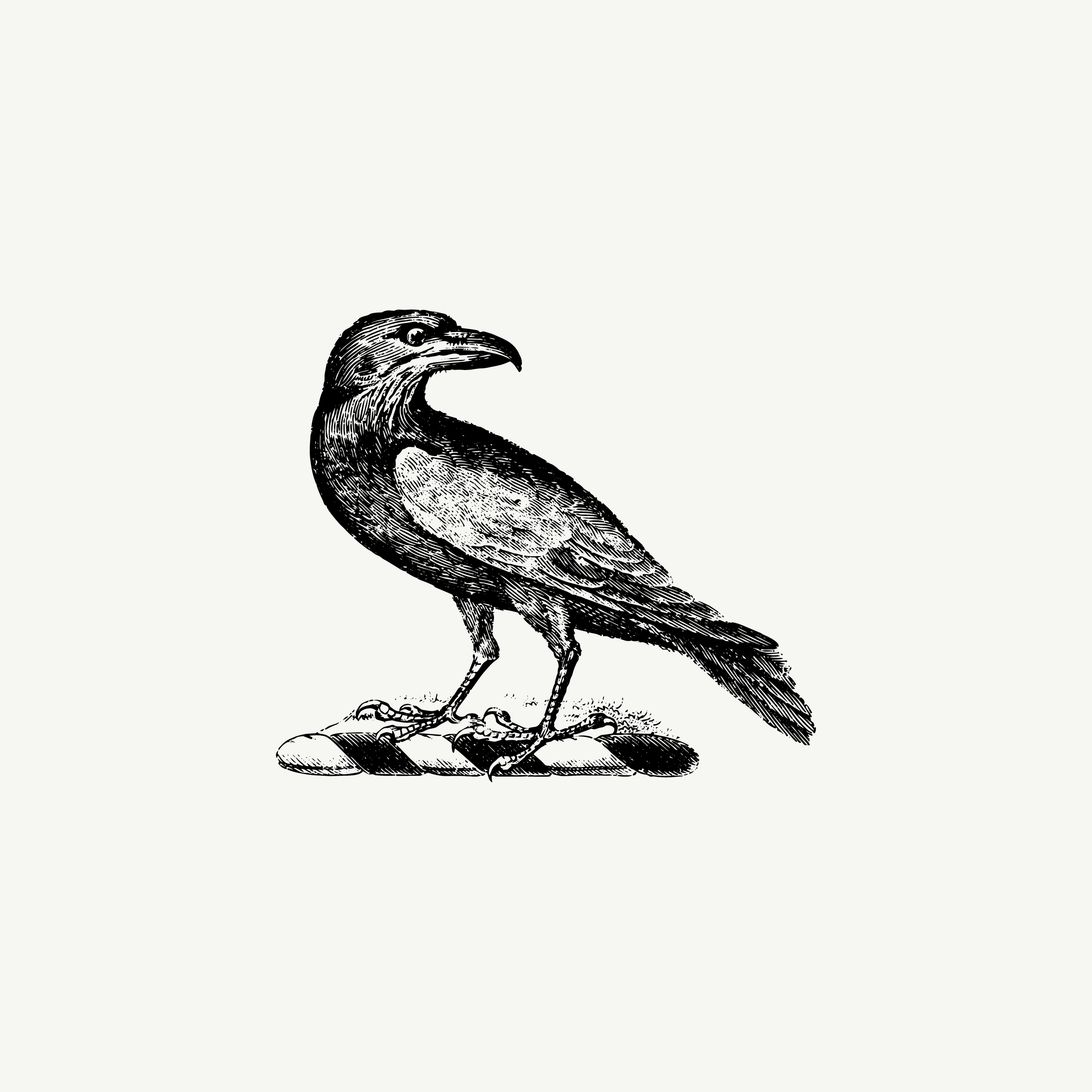 Historic engraved crest of a Raven, paired with the orientation line "You feel something before it appears" — from the Story & Sigil archive