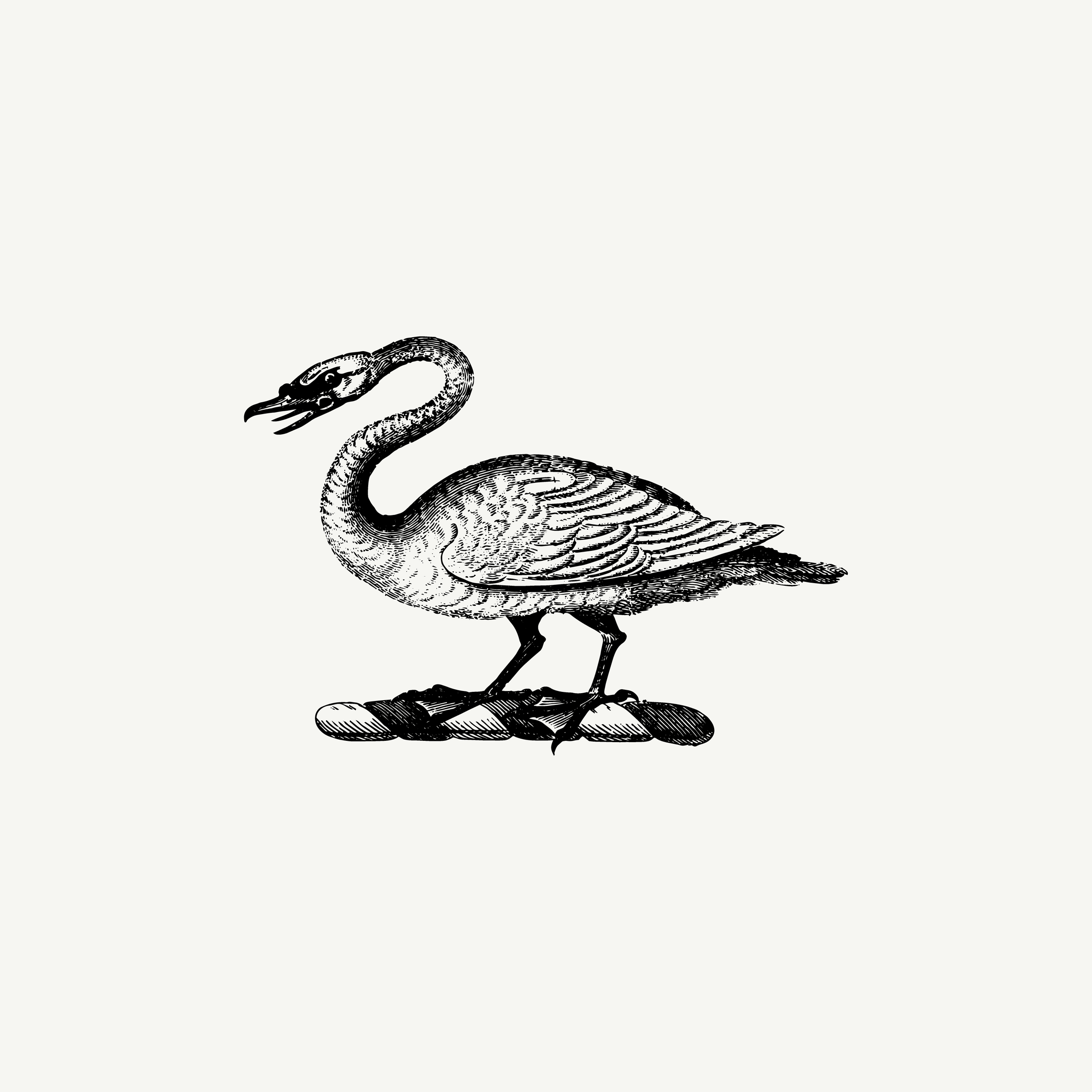 Historic engraved crest of a Swan, paired with the orientation line "Not all effort is seen" — from the Story & Sigil archive