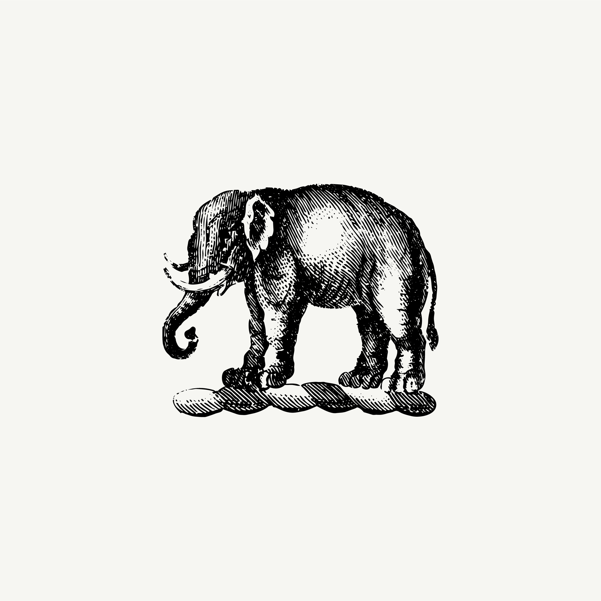 lephant crest from What Remains, paired with the line "What stays with us is not always said"